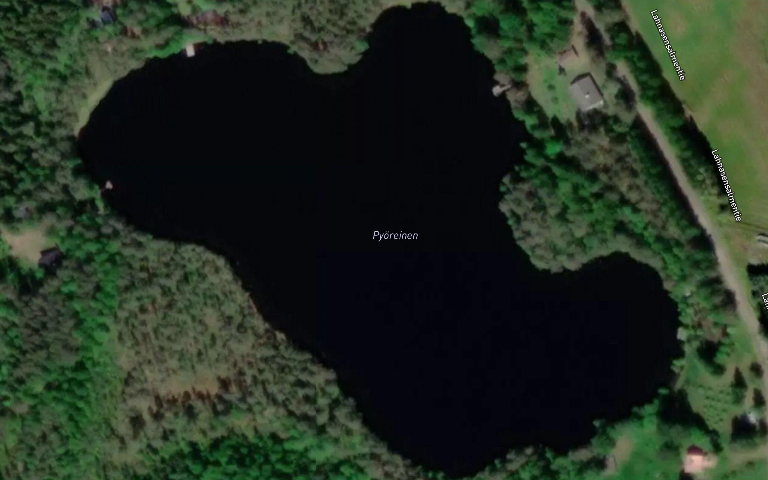 Pyoreinen