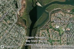 Upper Newport Bay