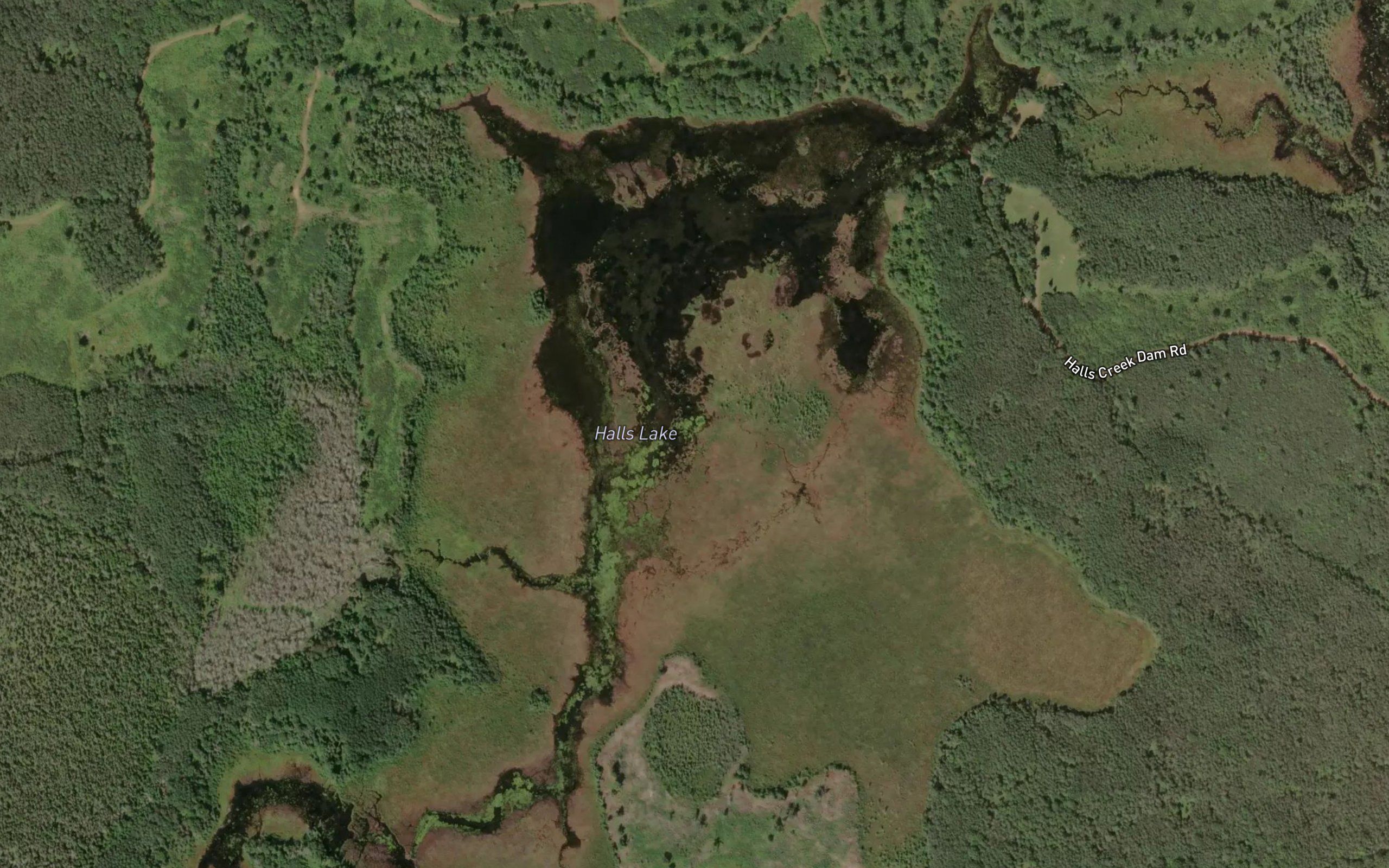 Halls Lake