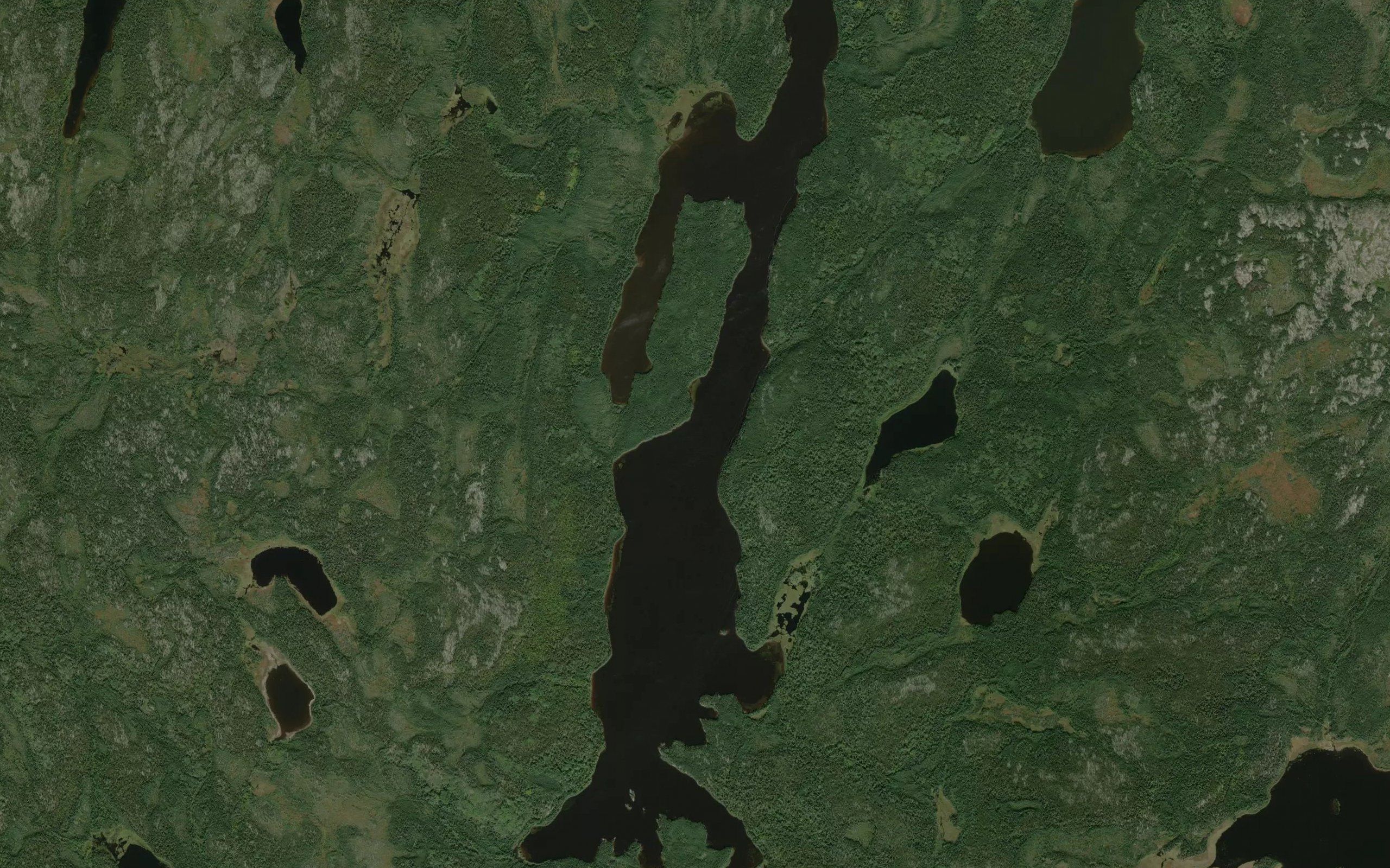 Beatty Lake