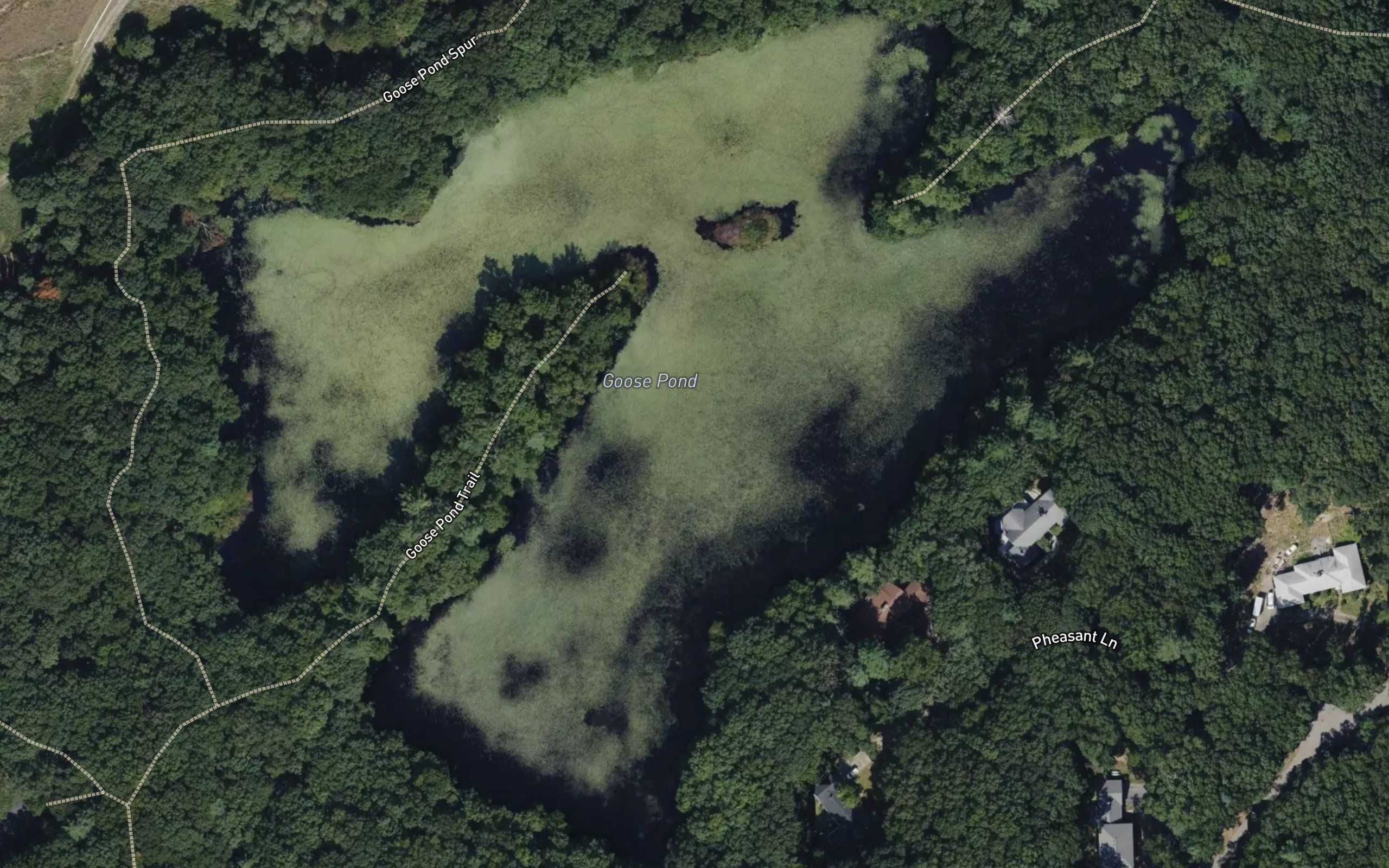 Goose Pond