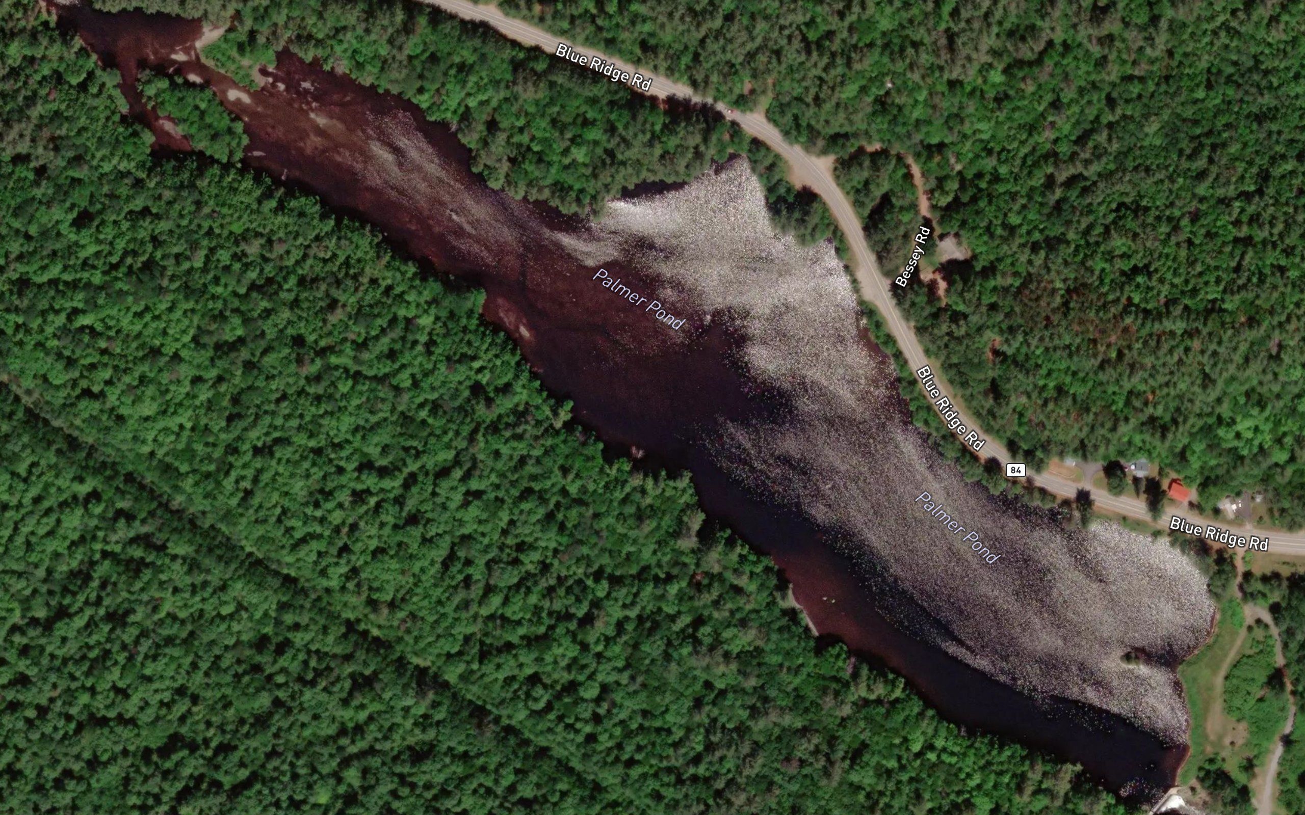 Palmer Pond