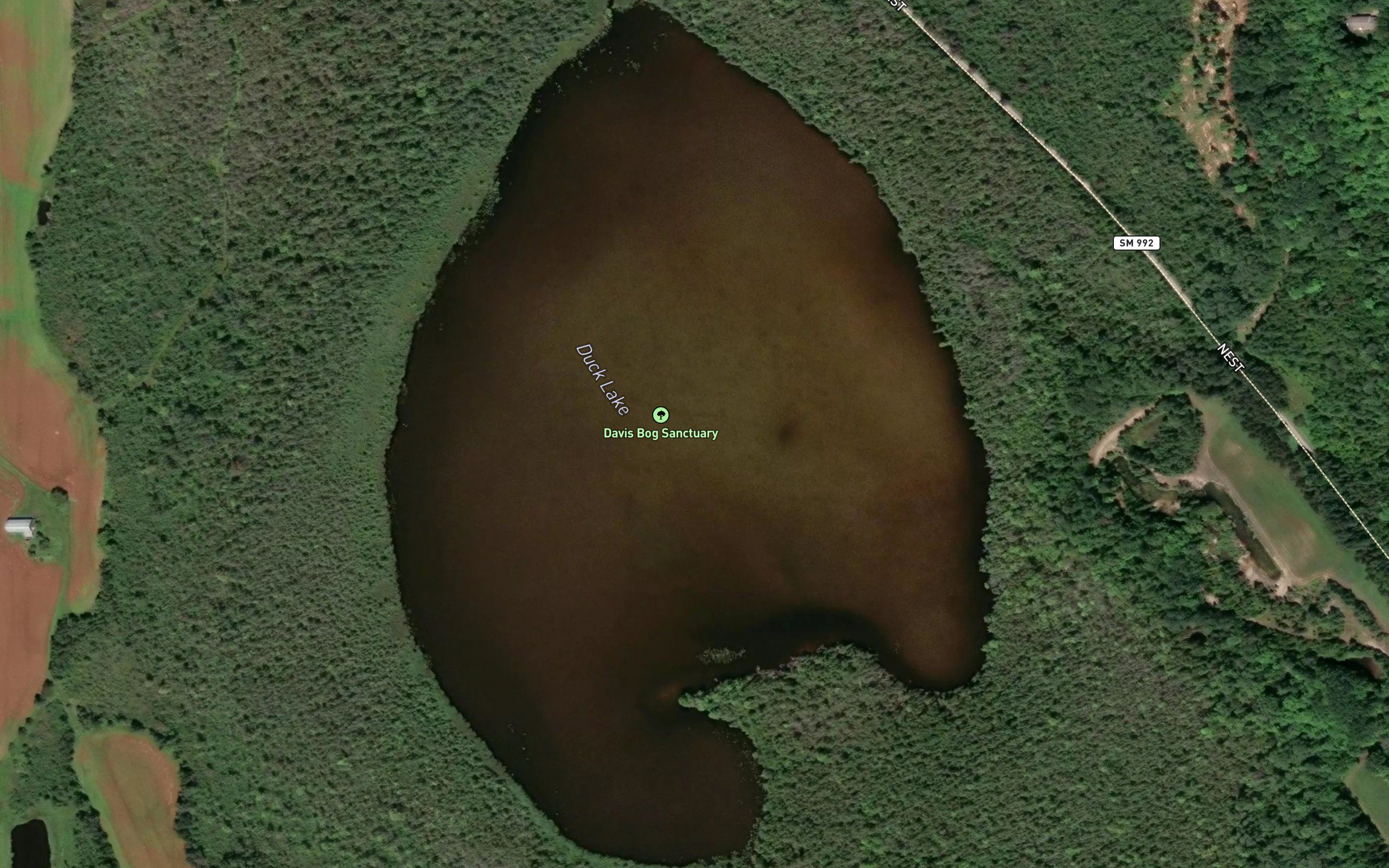 Duck Lake