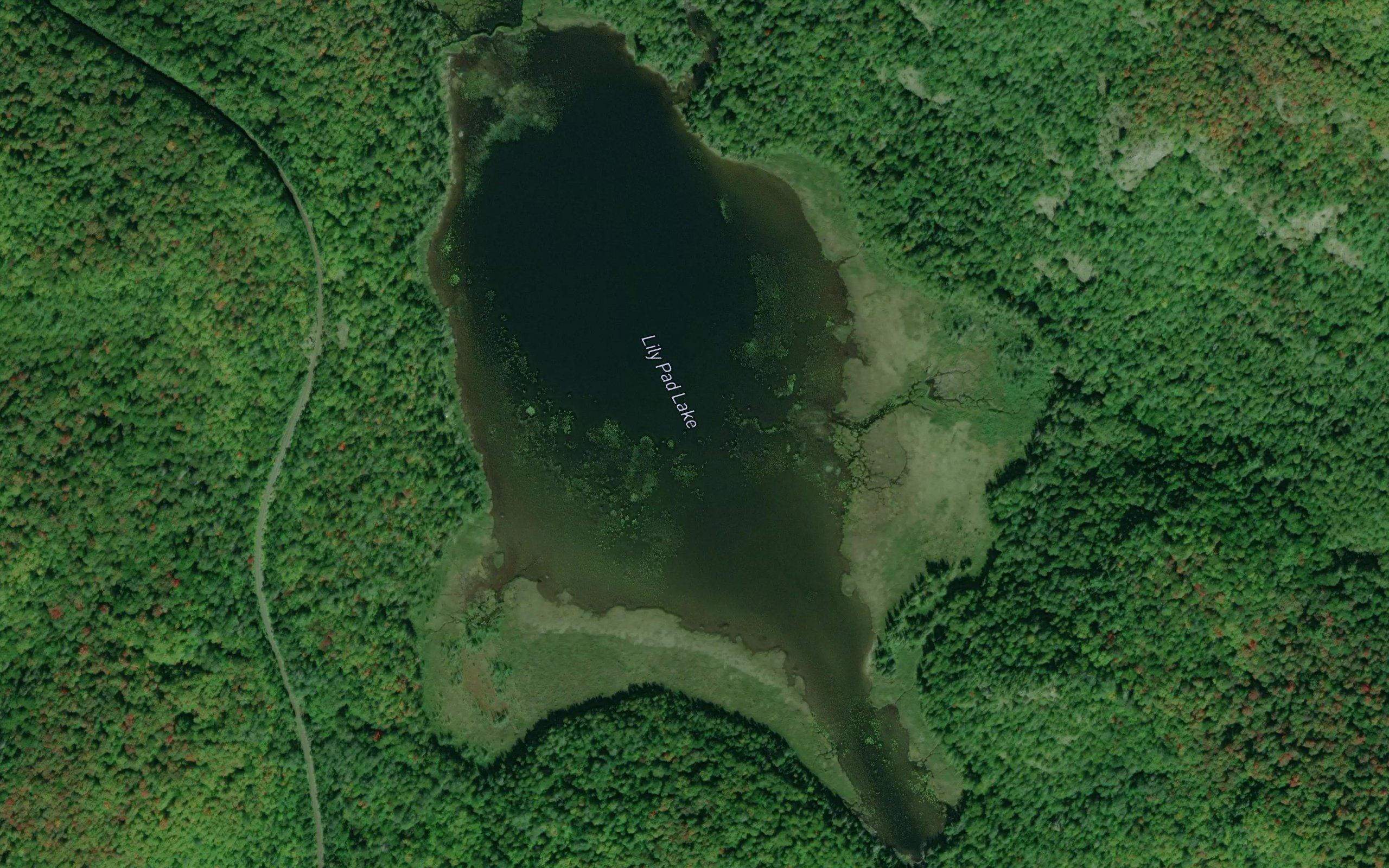 Lily Pad Lake