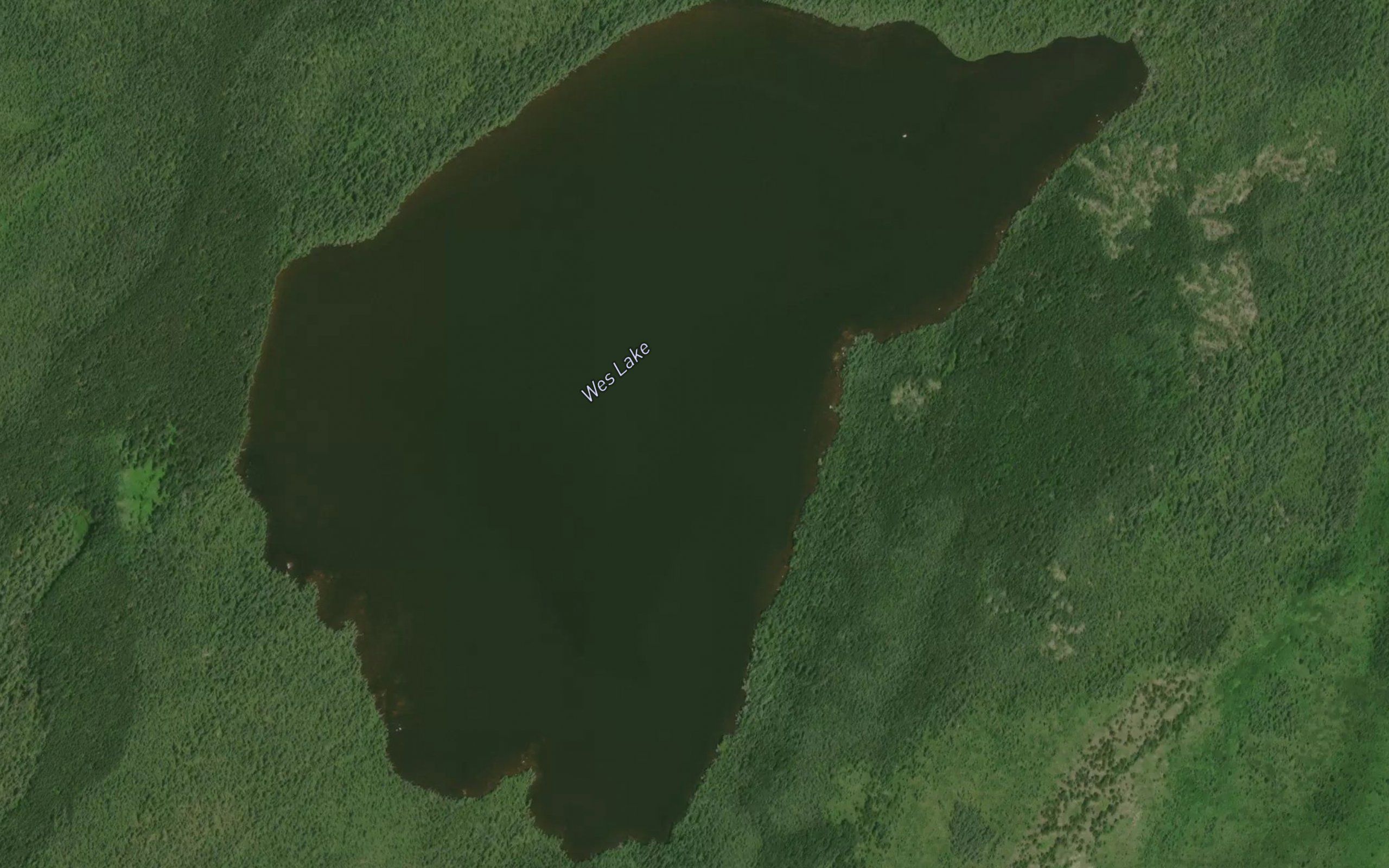 Wes Lake