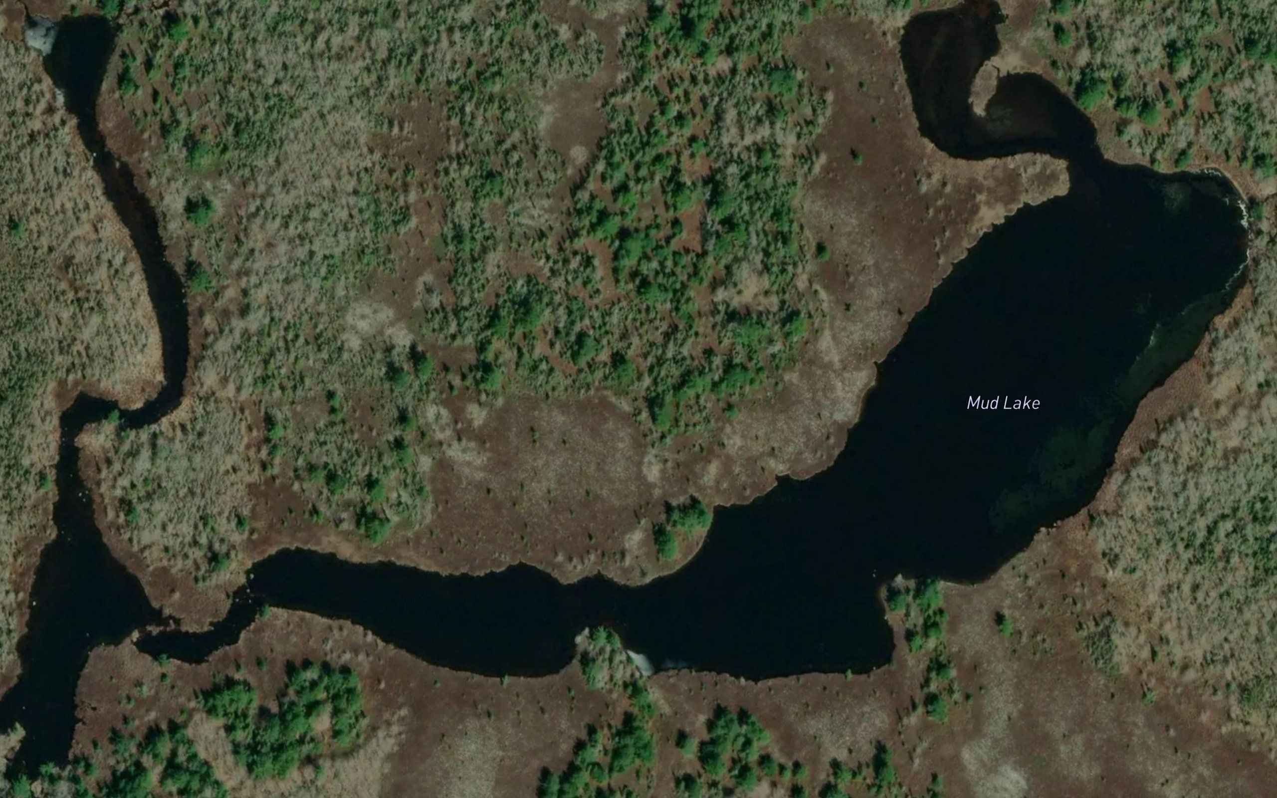 Mud Lake