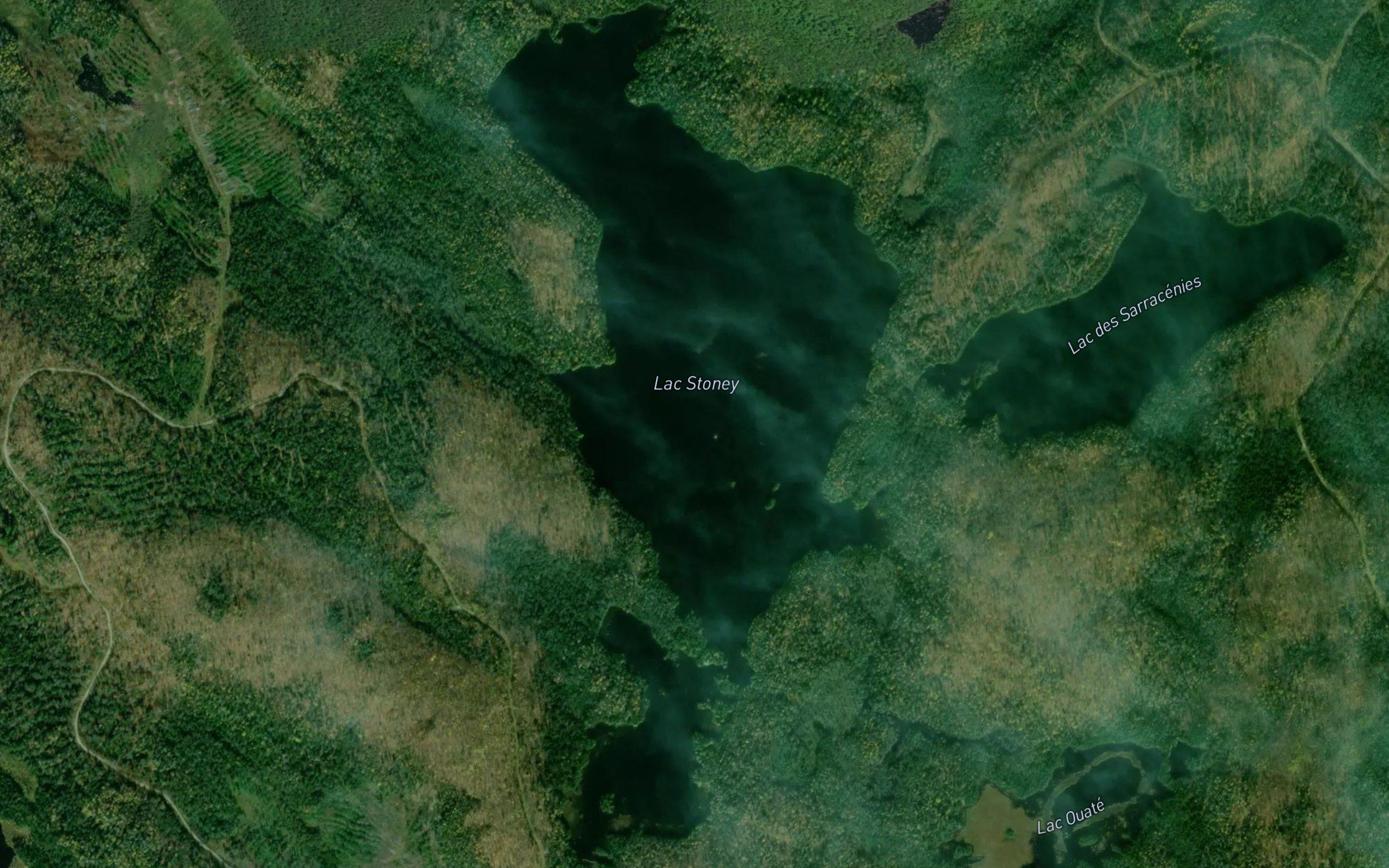 Lac Stoney