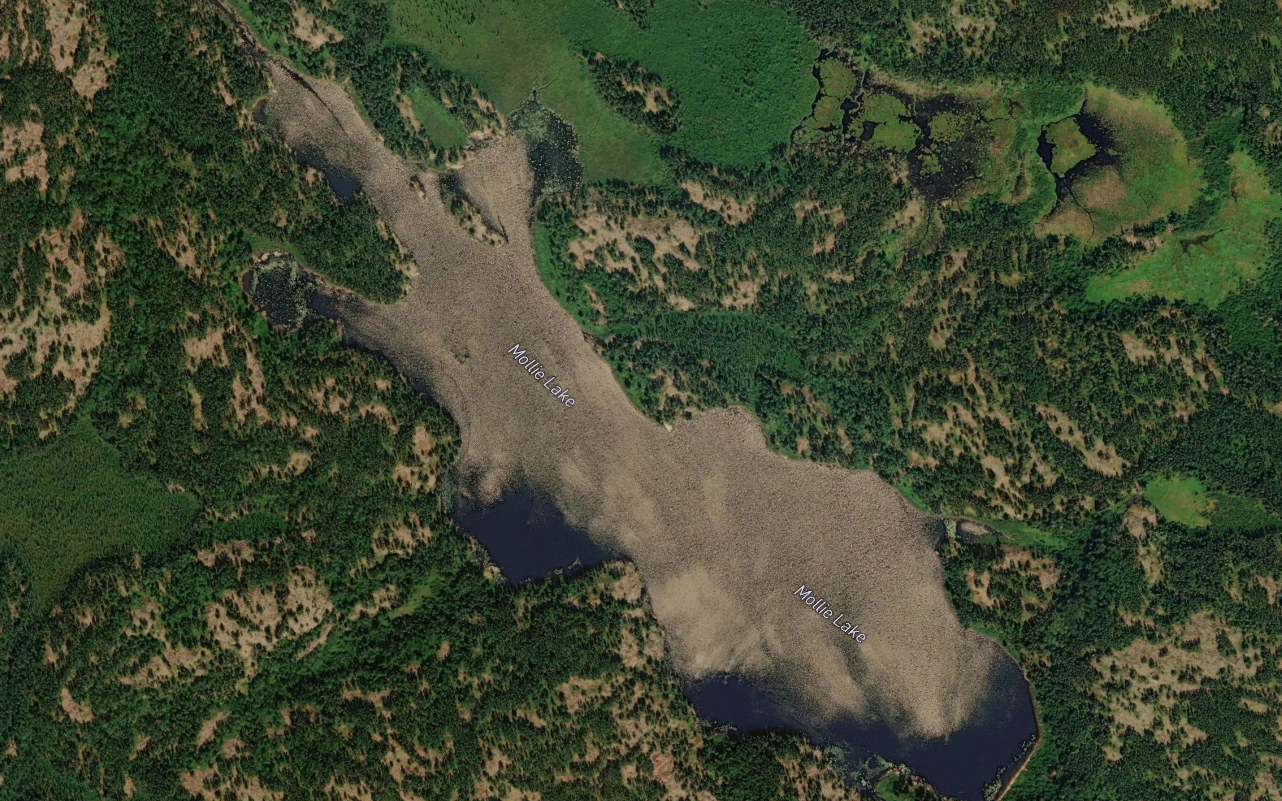 Mollie Lake