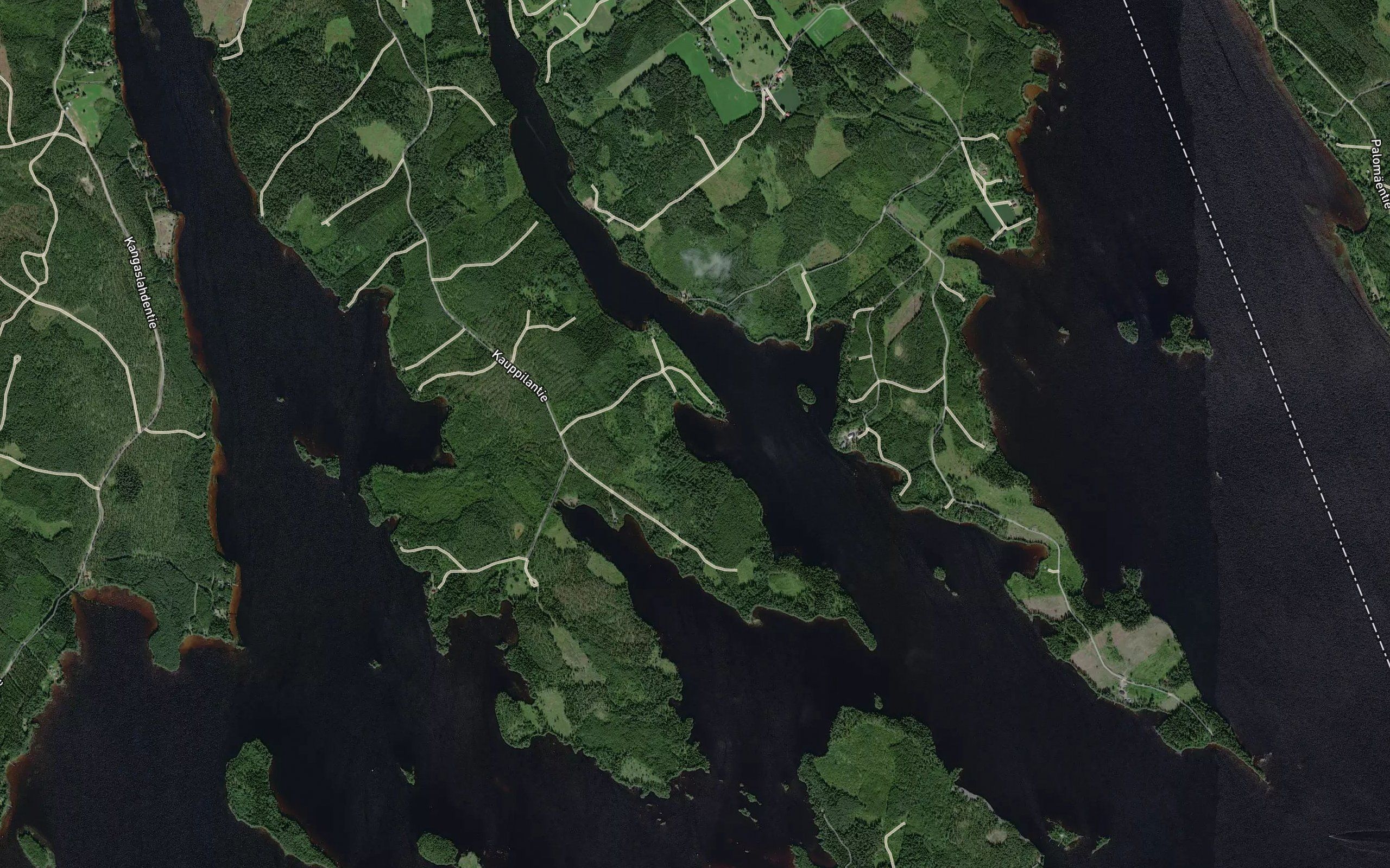 Koivulahti