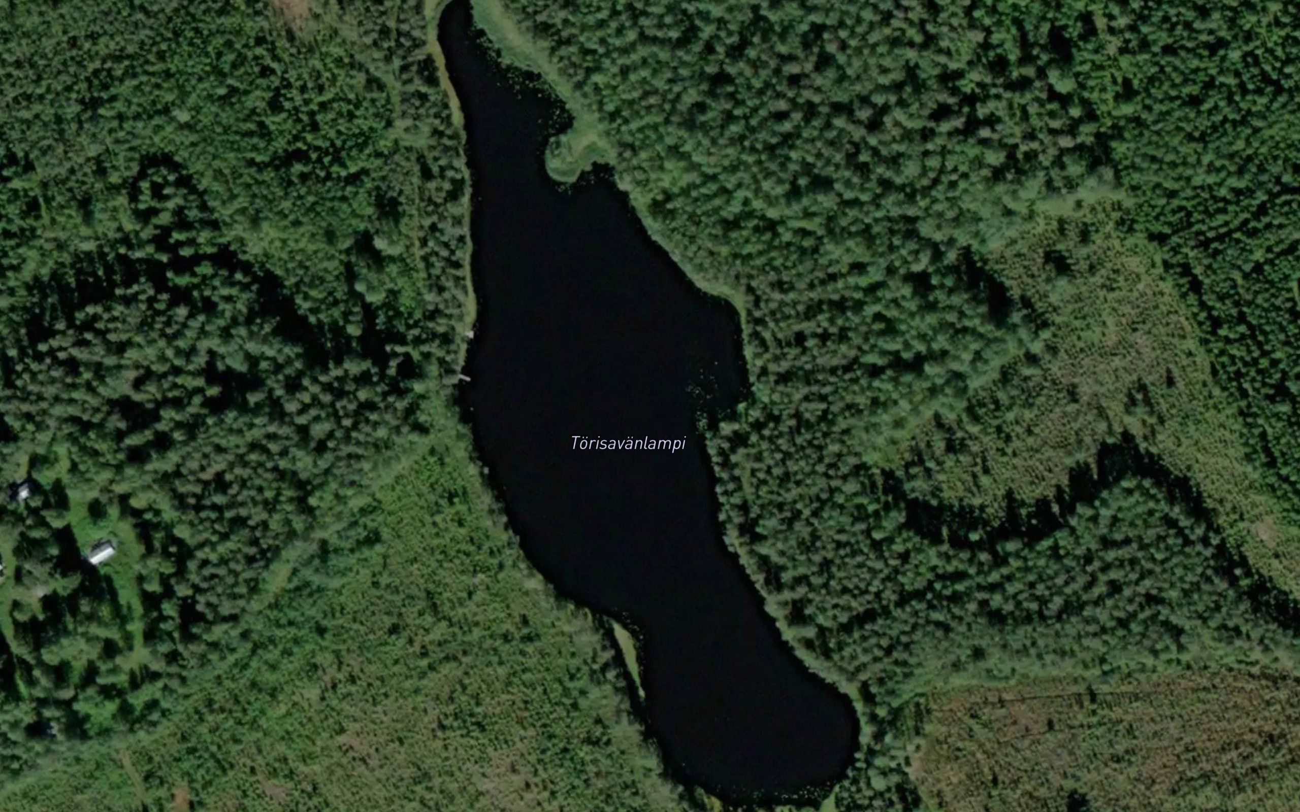 Torisevanlampi