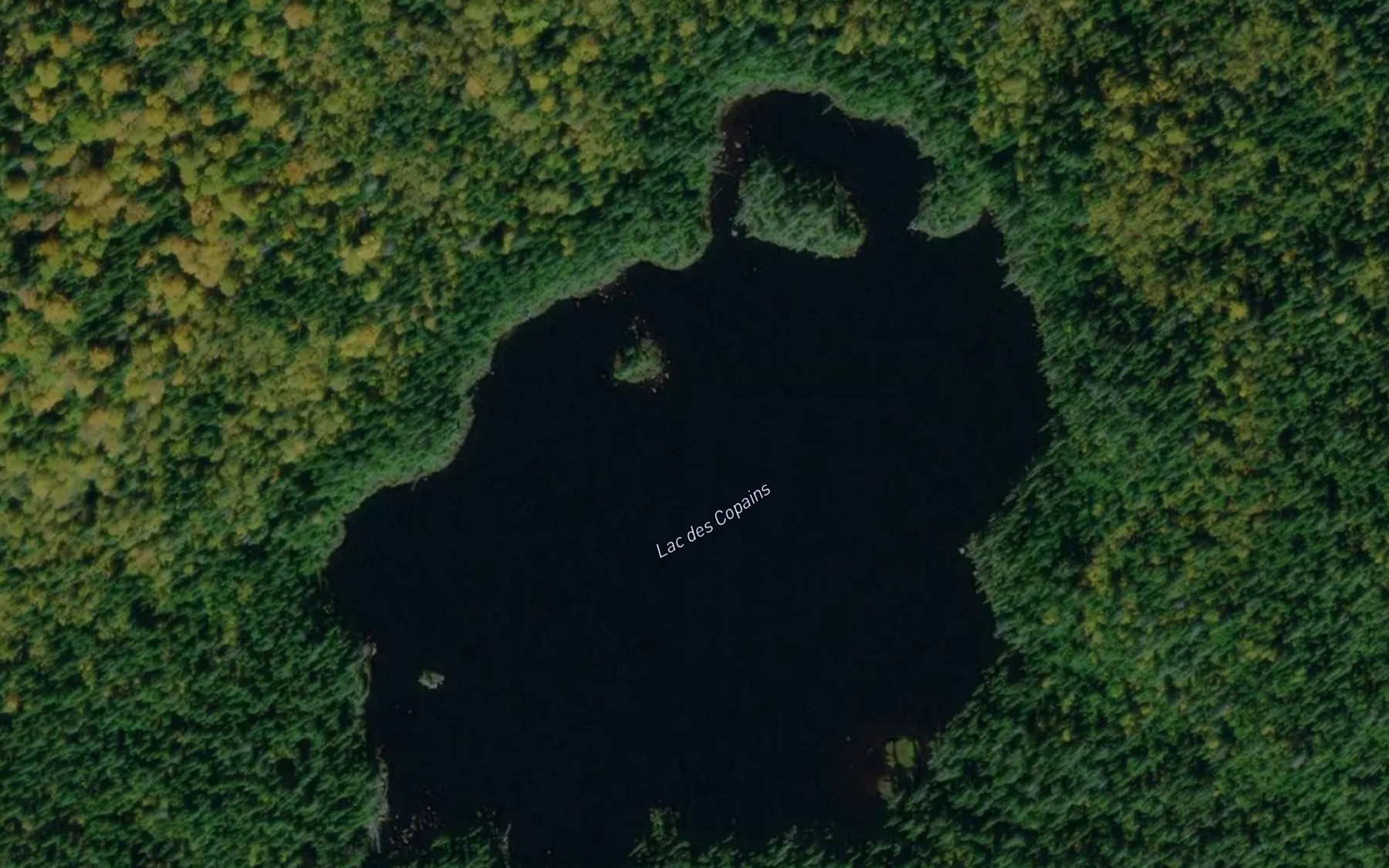 Satellite map of the Lac des Copains