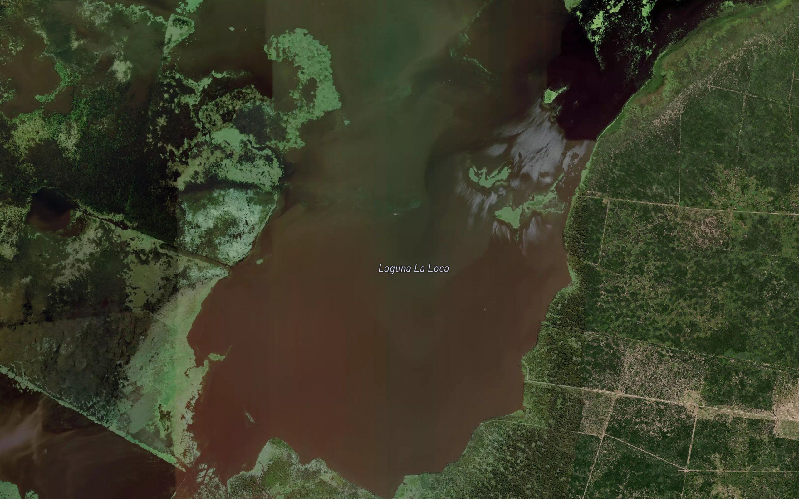 Laguna La Loca