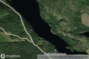 Kurkivesi