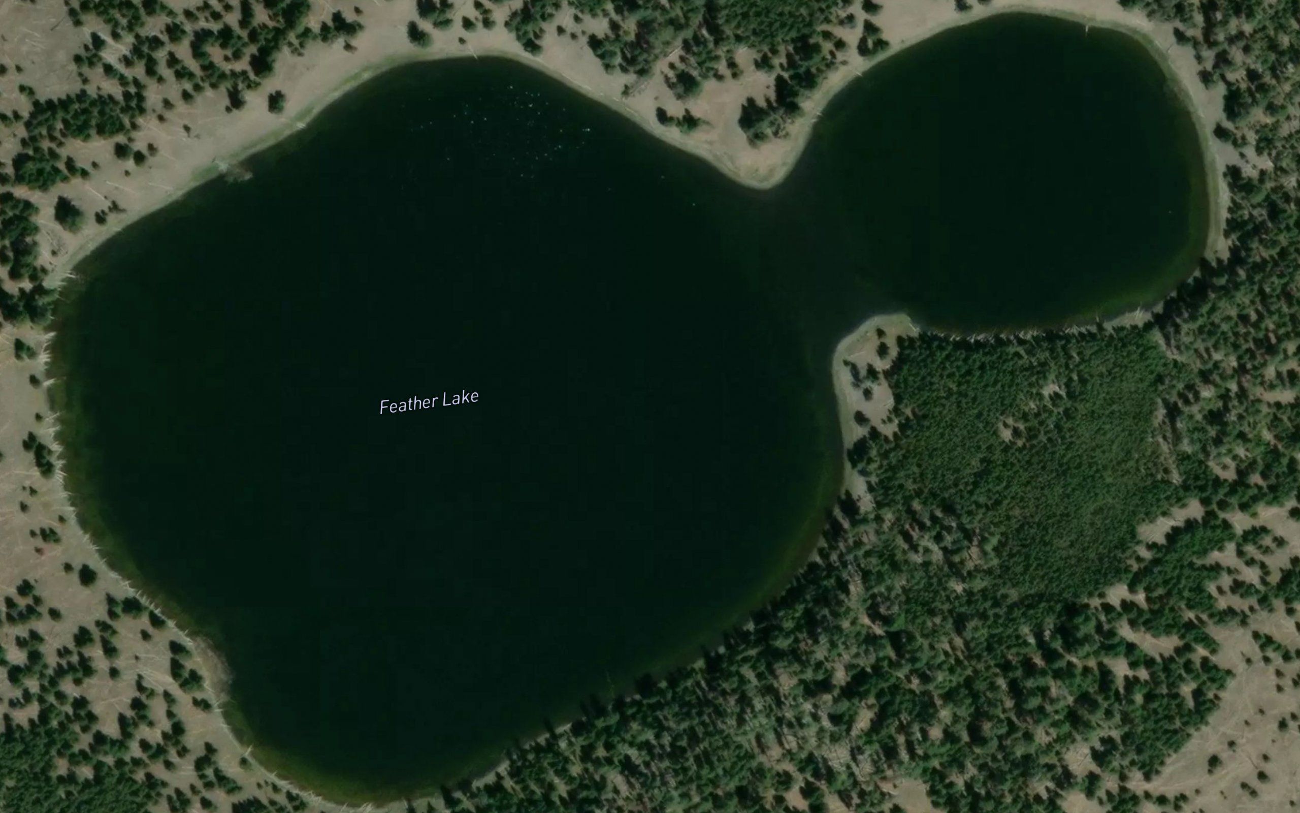 Feather Lake