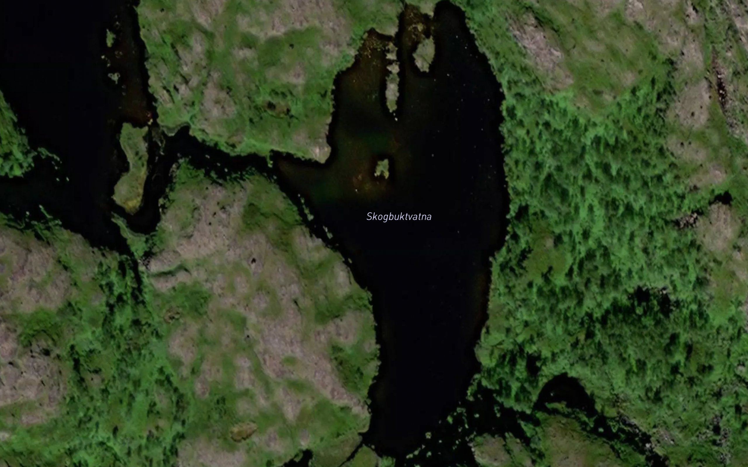 Skogbuktvatna