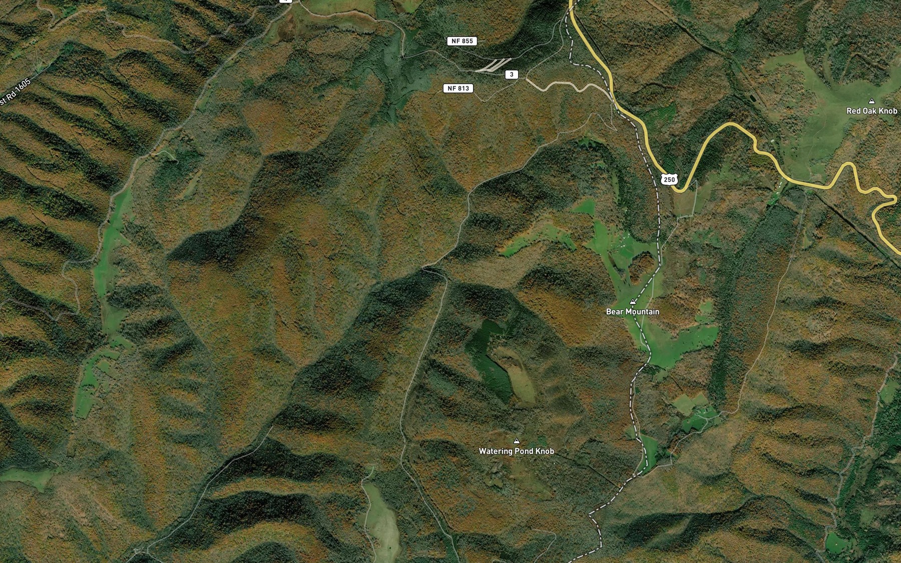 Satellite map of the Griffin Run