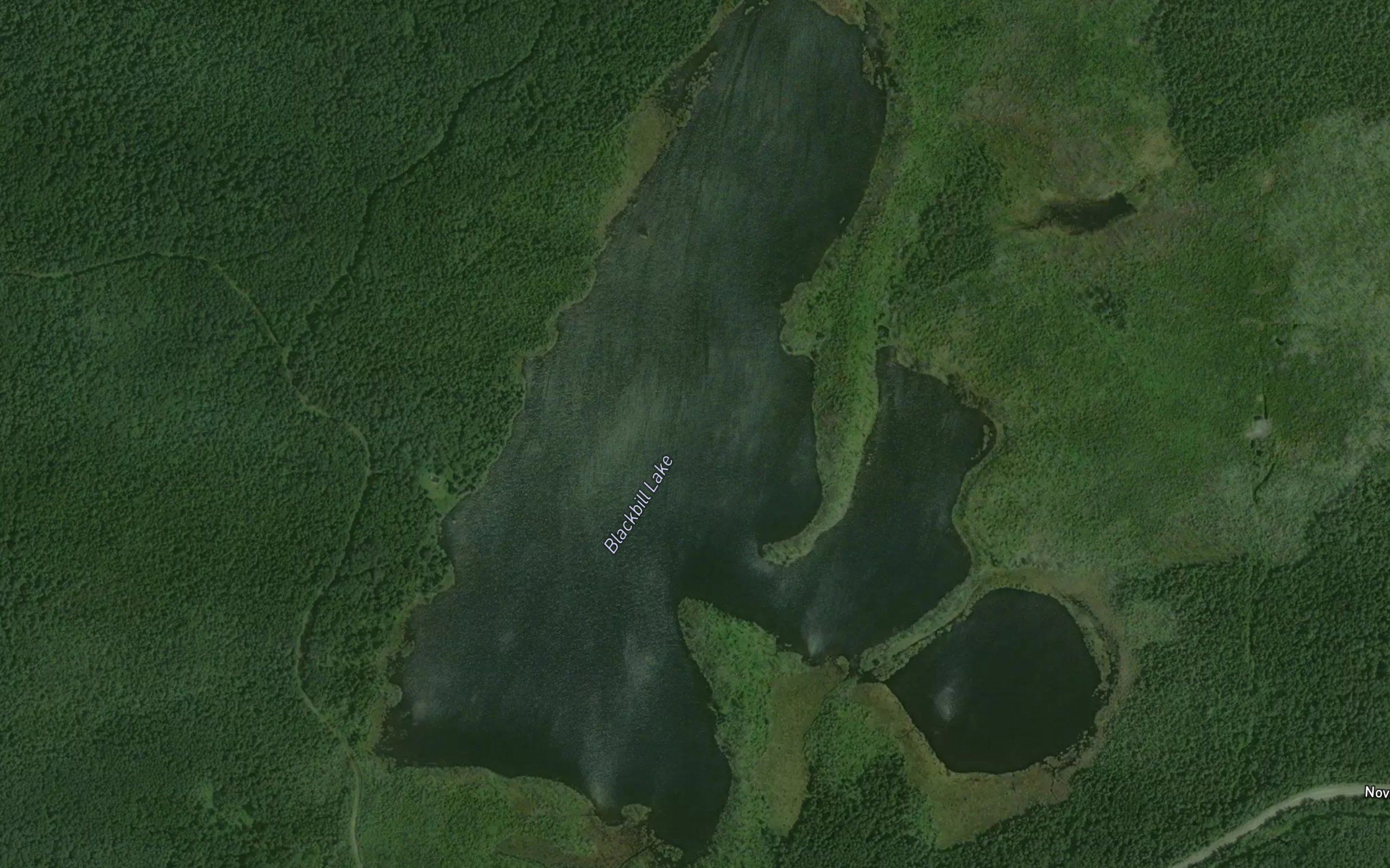 Blackbill Lake