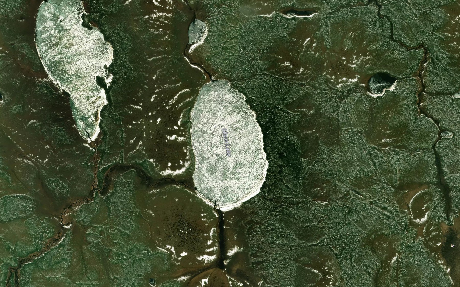 Satellite map of the Gilson Lake