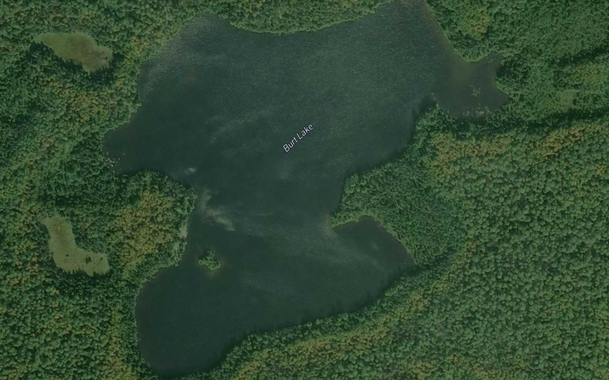 Burt Lake