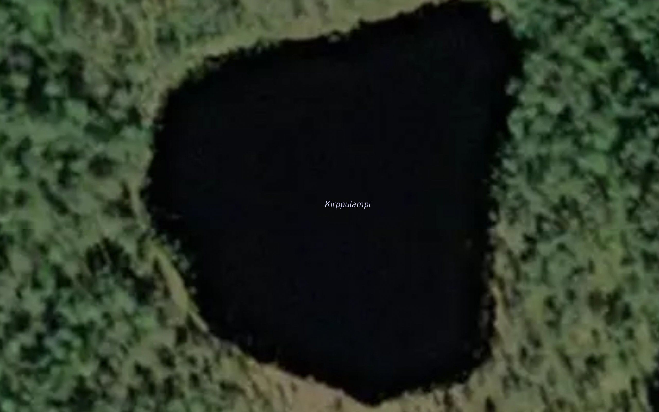 Kirppulampi