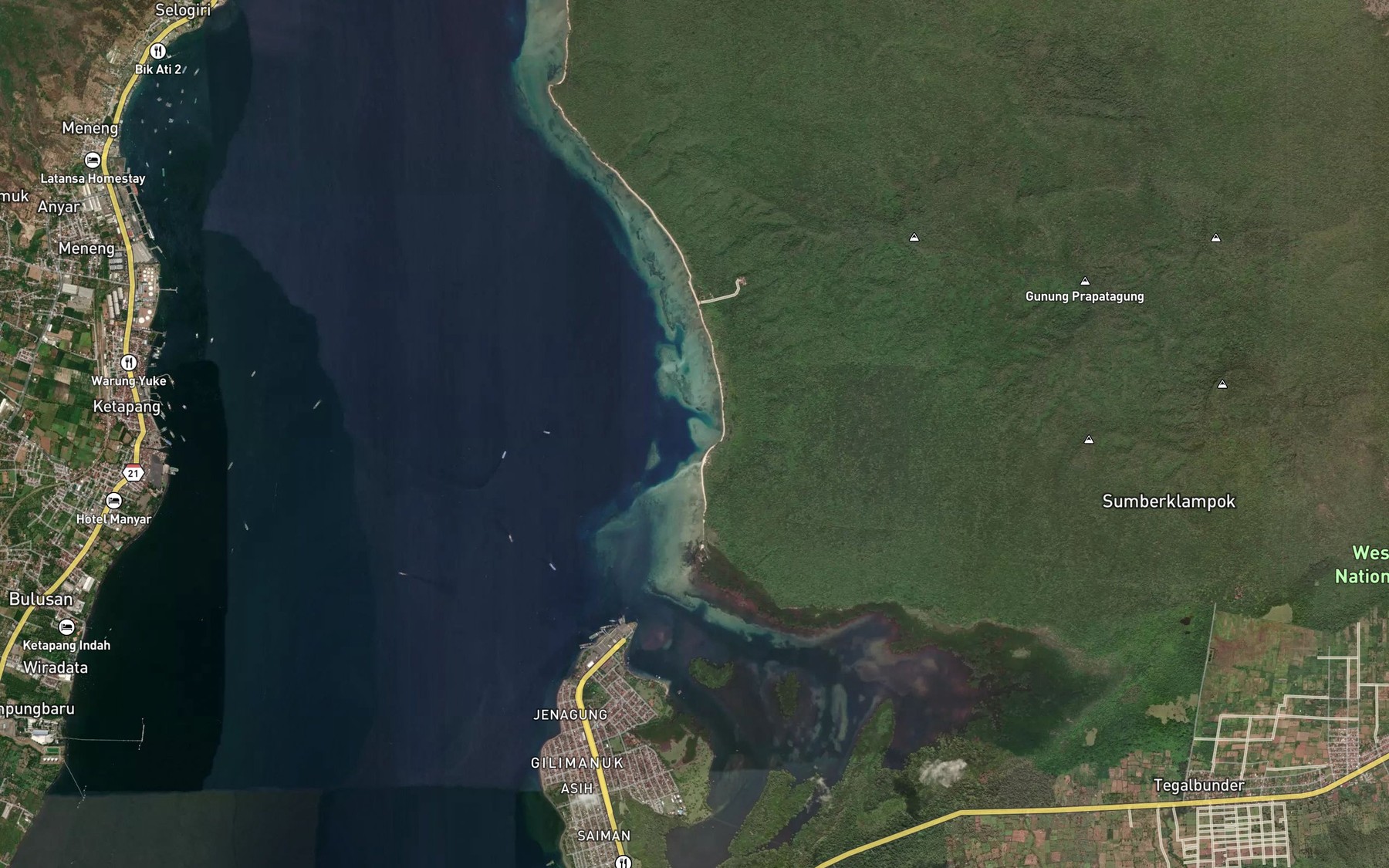 Satellite map of the Teluk Prapatagung
