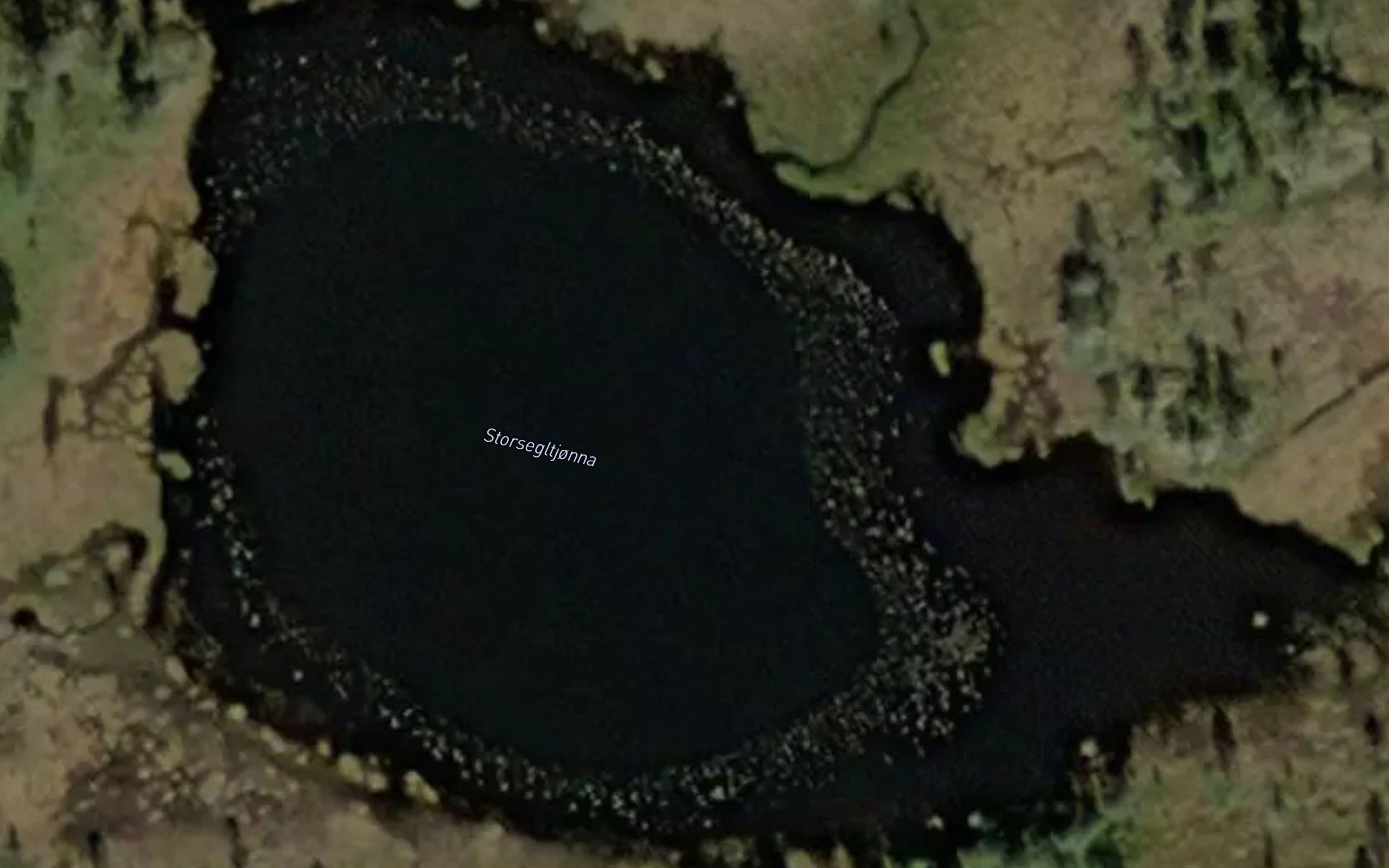 Storseggeltjonna