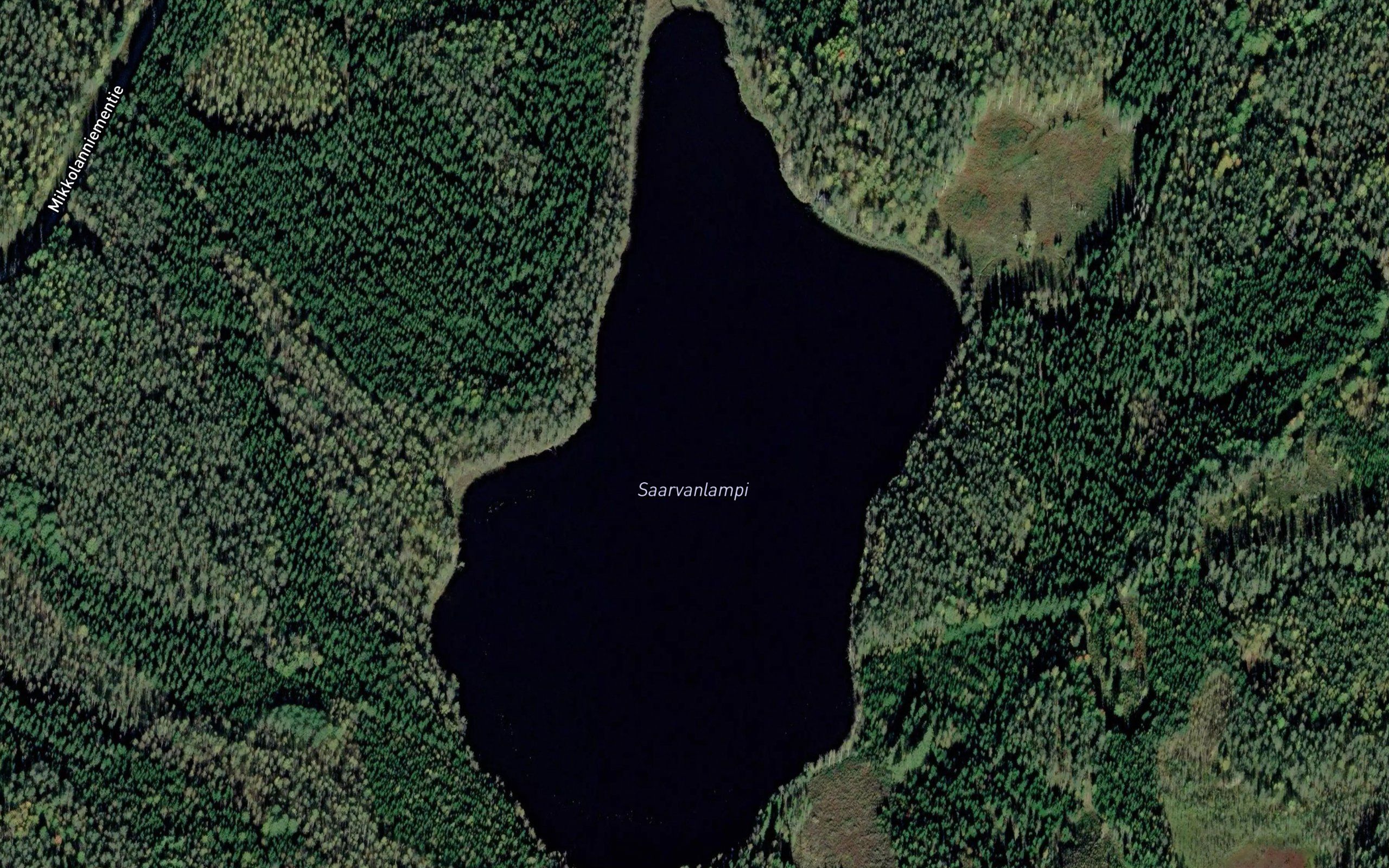 Saarvanlampi