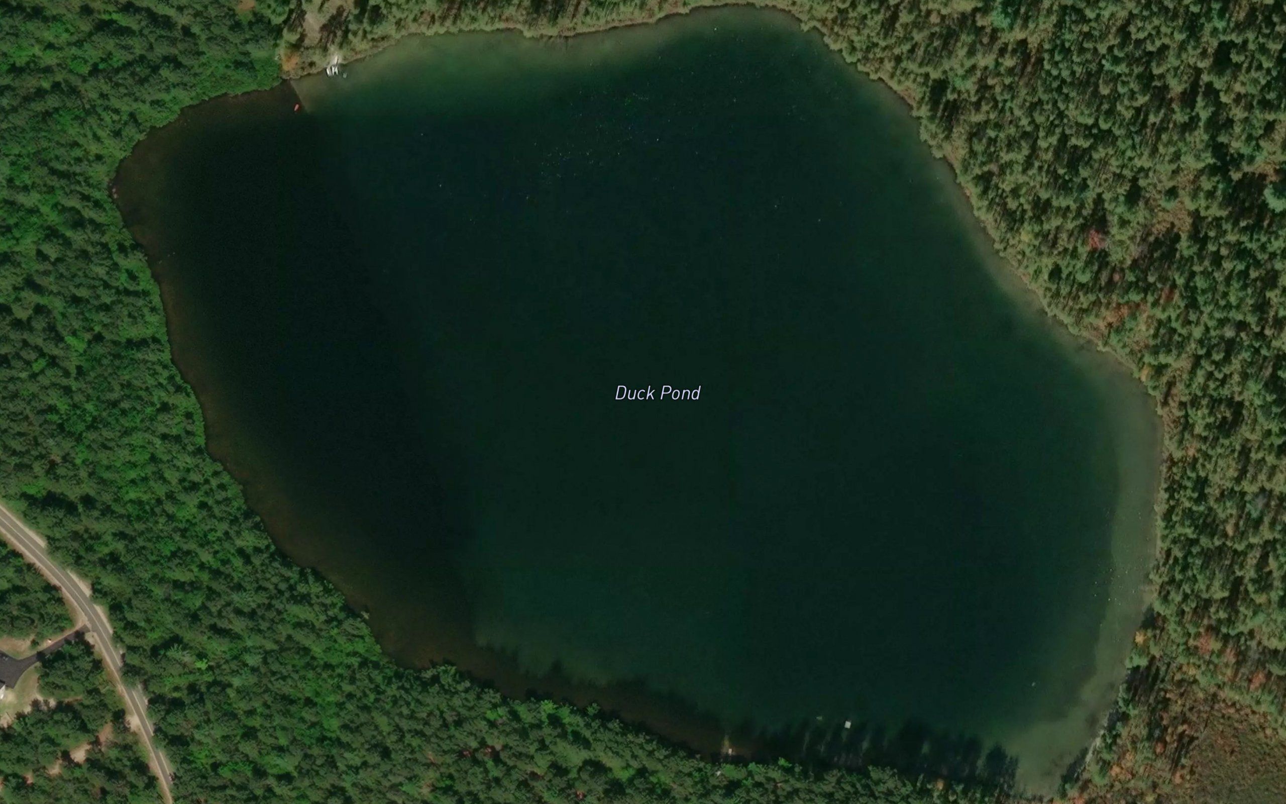 Duck Pond