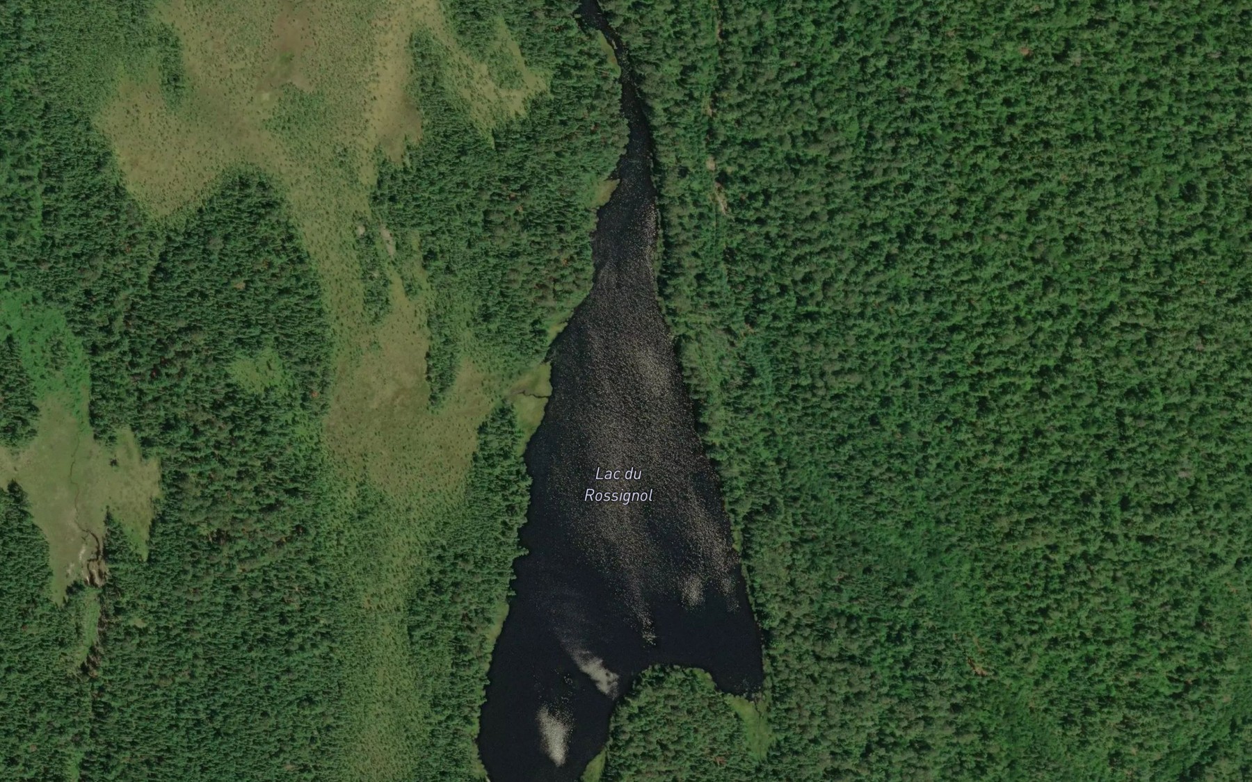 Satellite map of the Lac du Rossignol