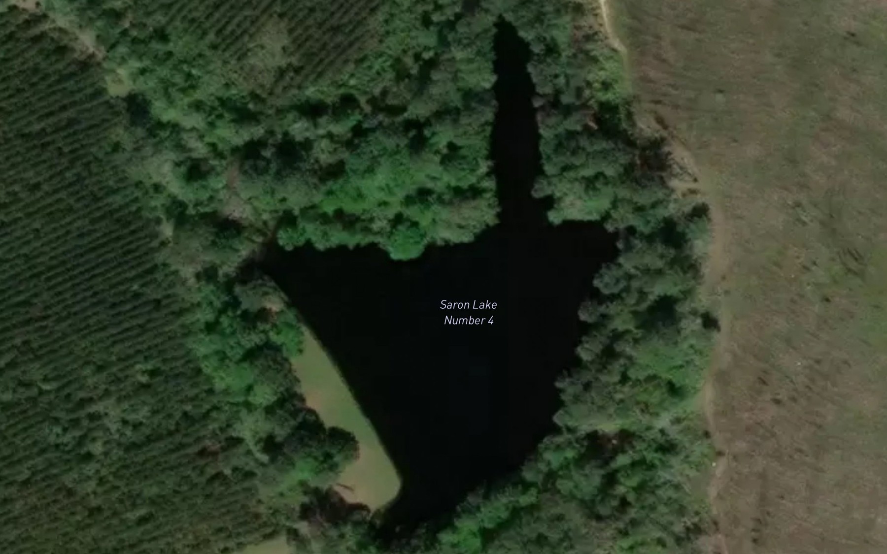 Satellite map of the Saron Lake Number 4