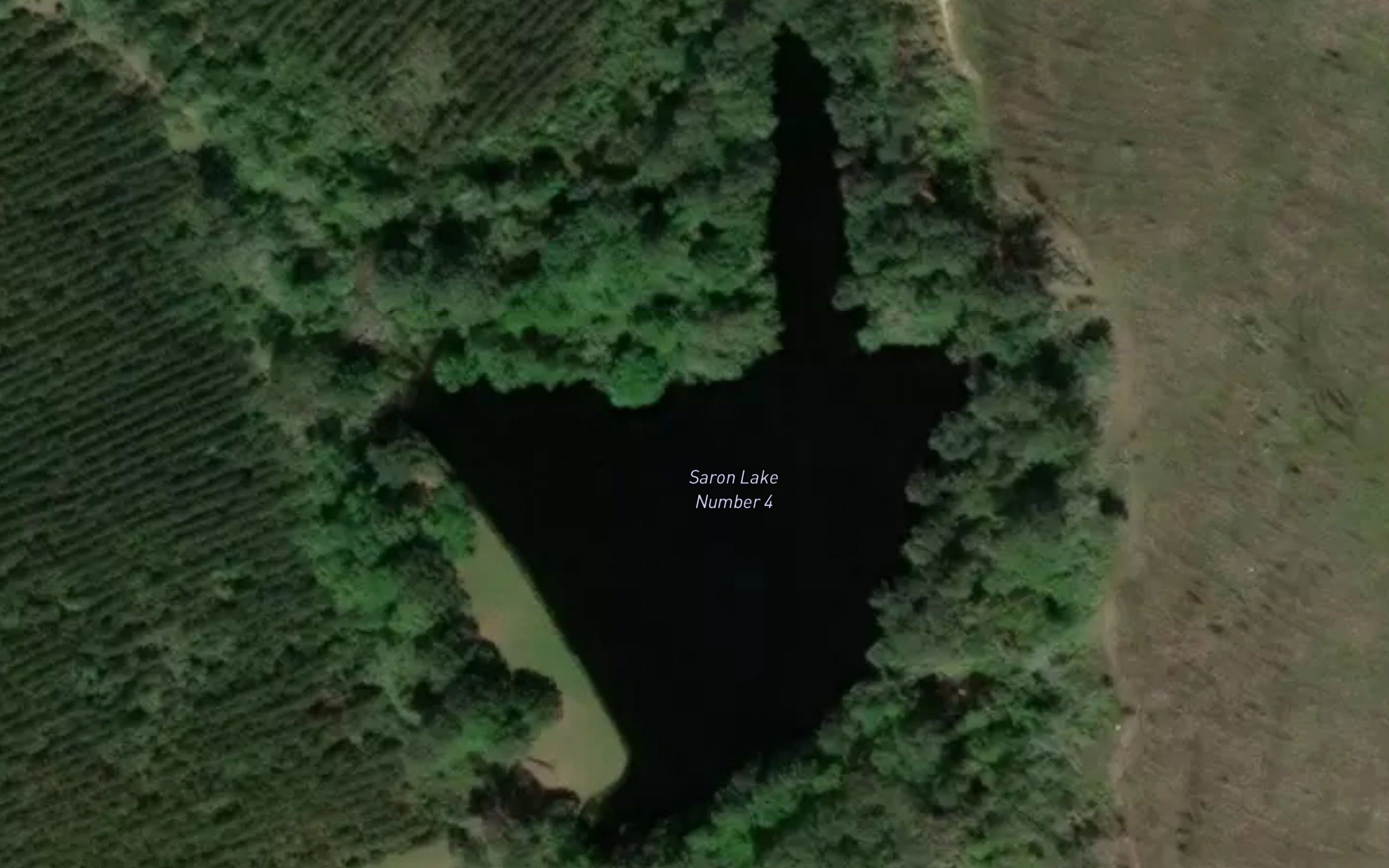 Saron Lake Number 4