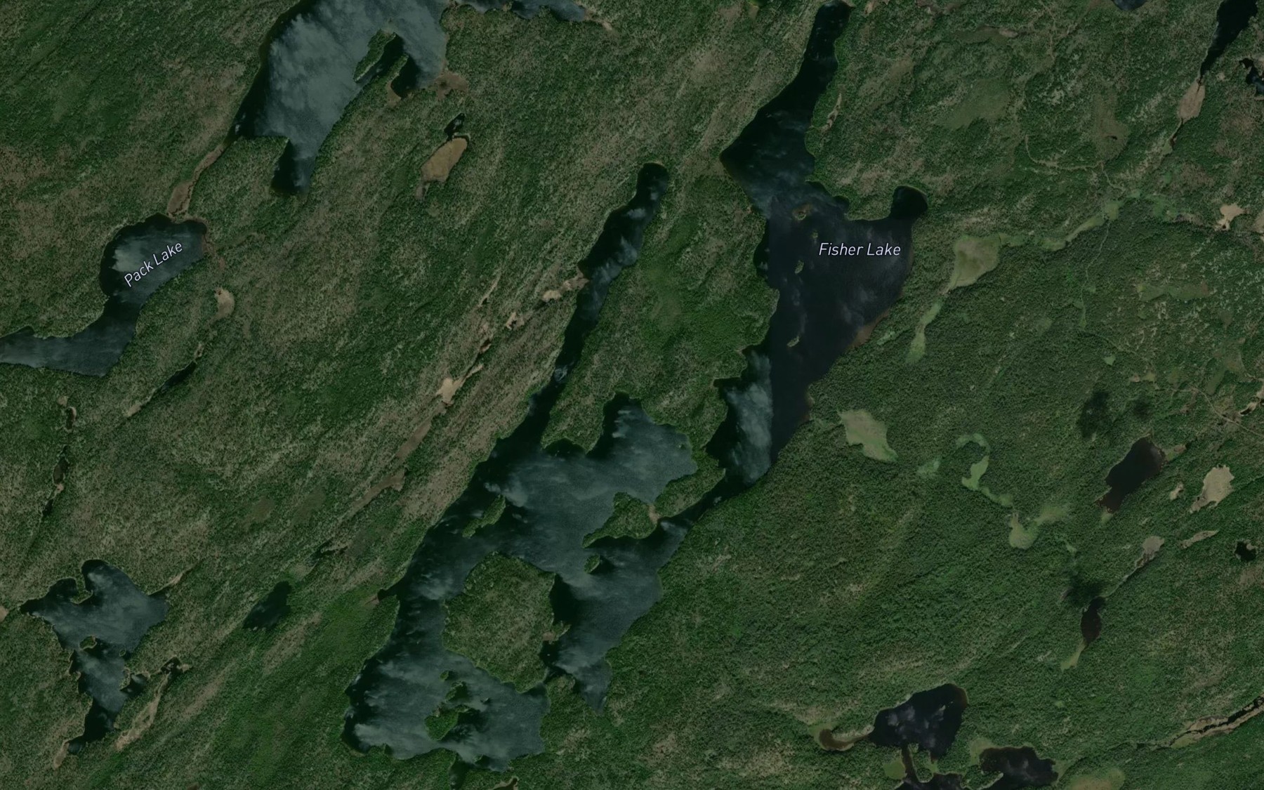 Satellite map of the Fisher Lake