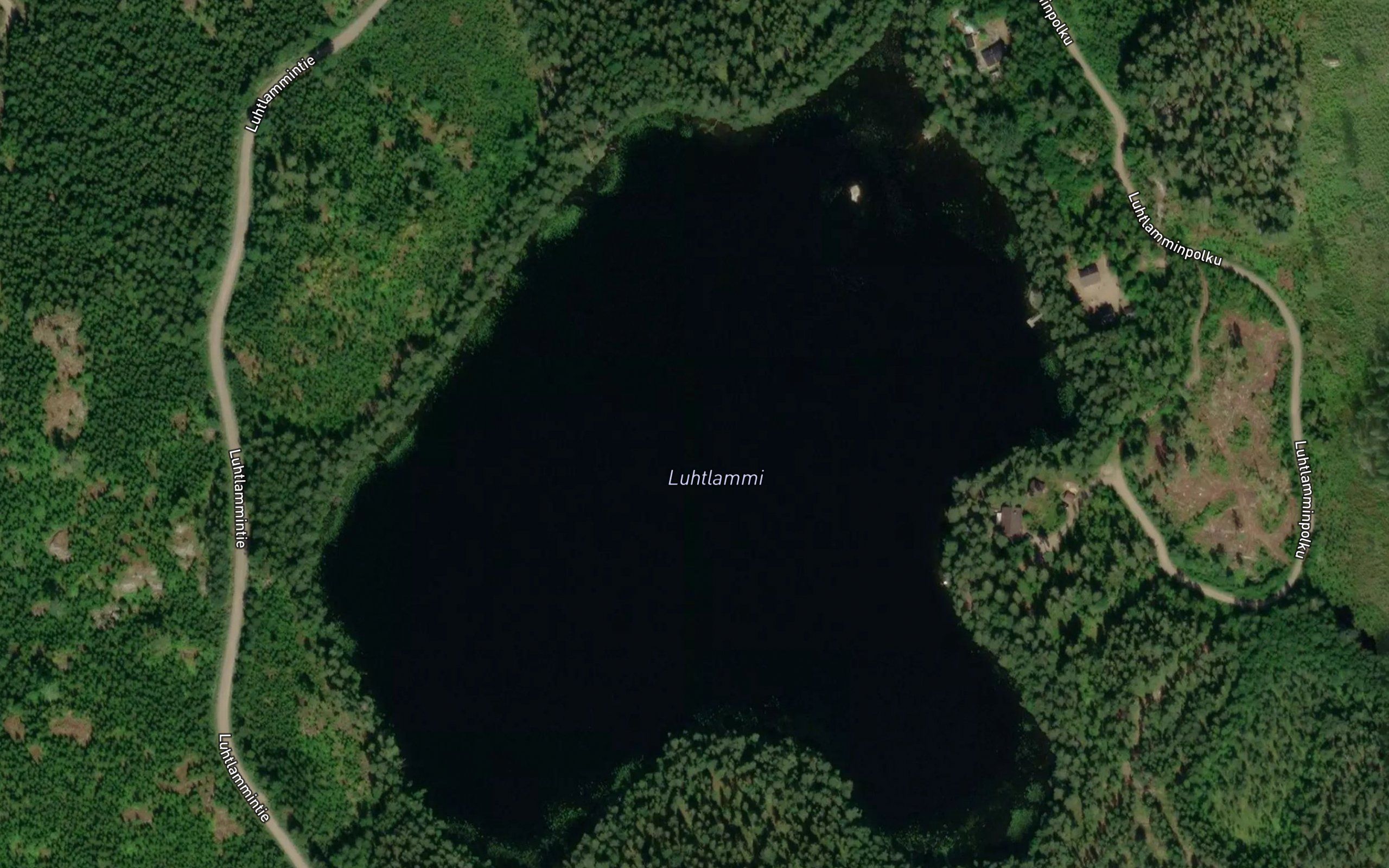 Luhtlammi