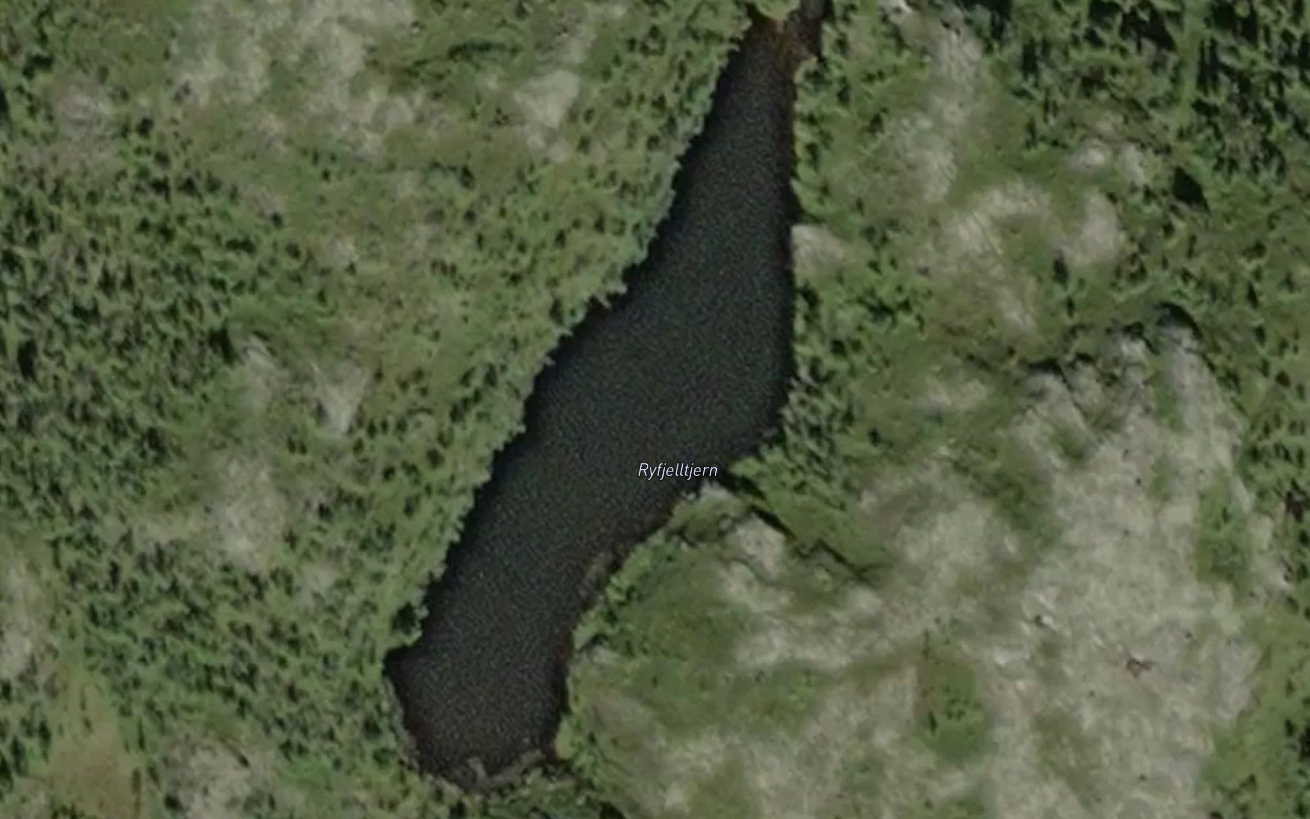 Ryfjelltjern
