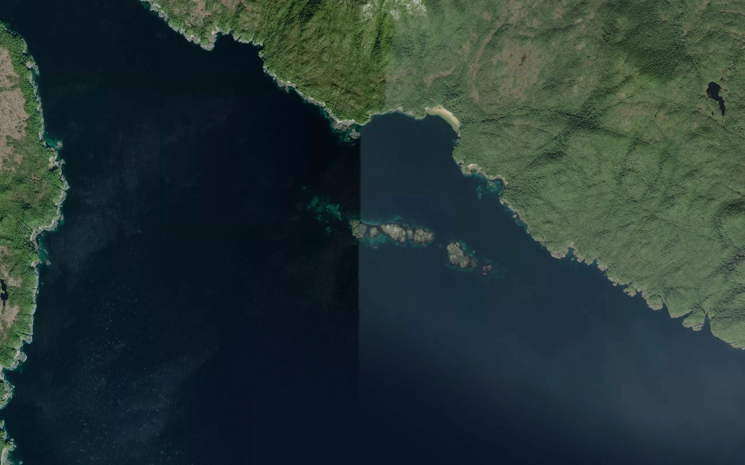 Pidwell Reef