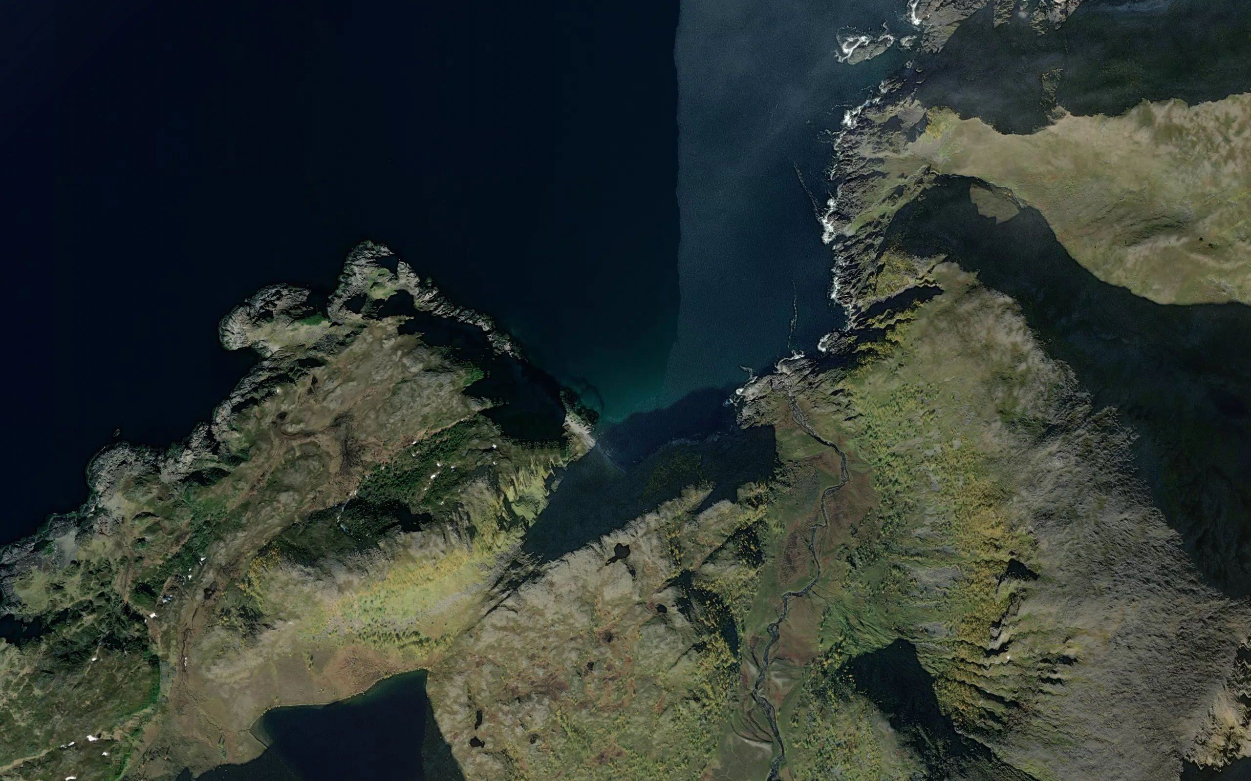 Trollvika