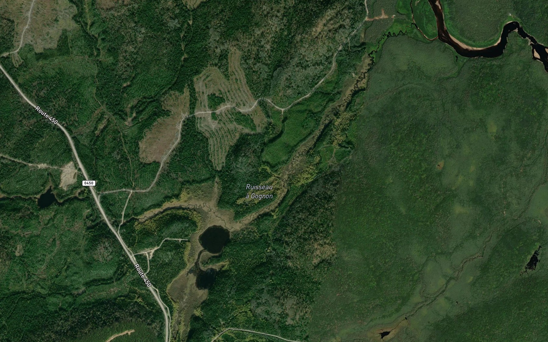 Satellite map of the Ruisseau a Gagnon