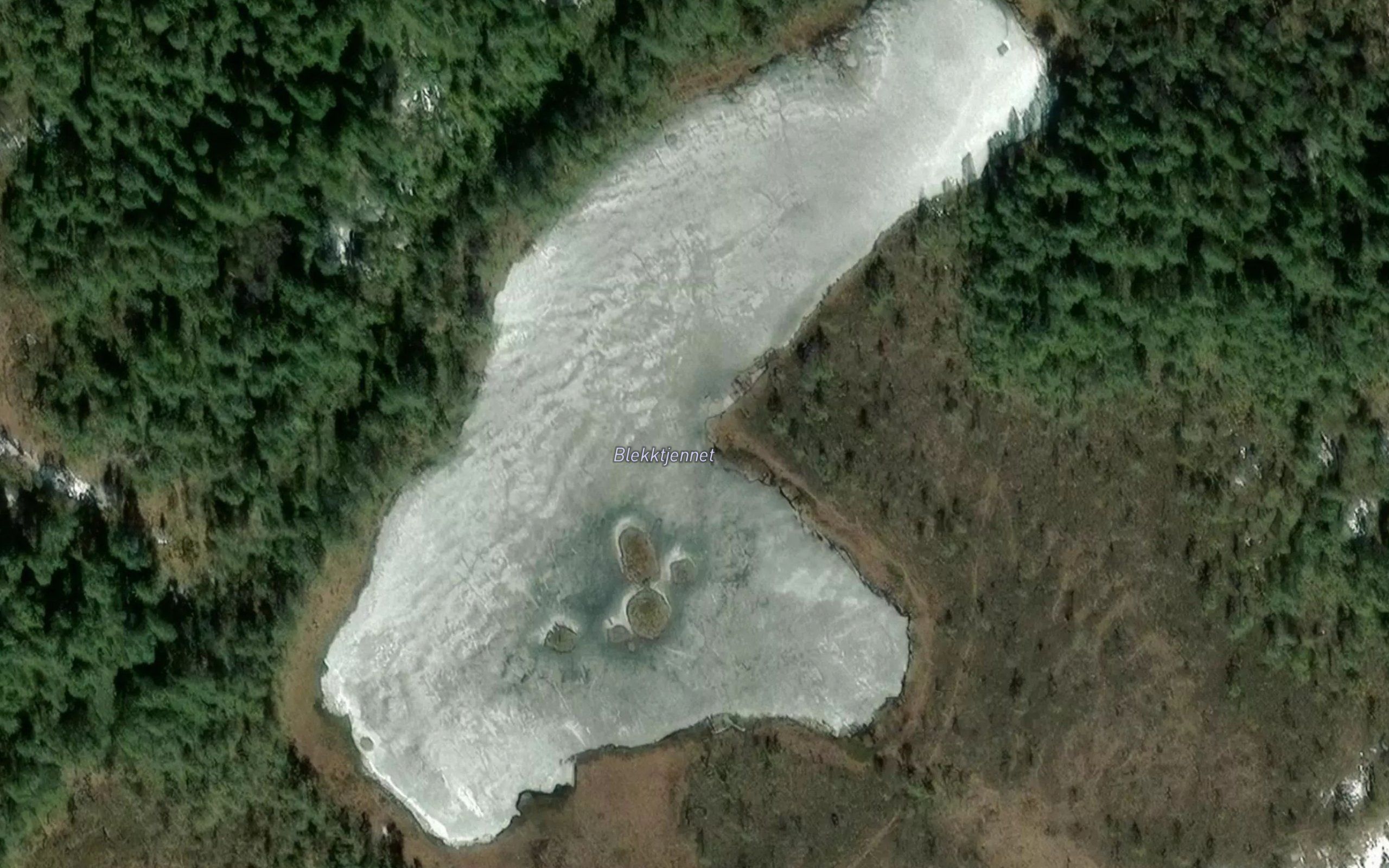 Blekktjernet