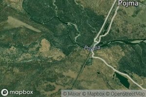 Mutnaya