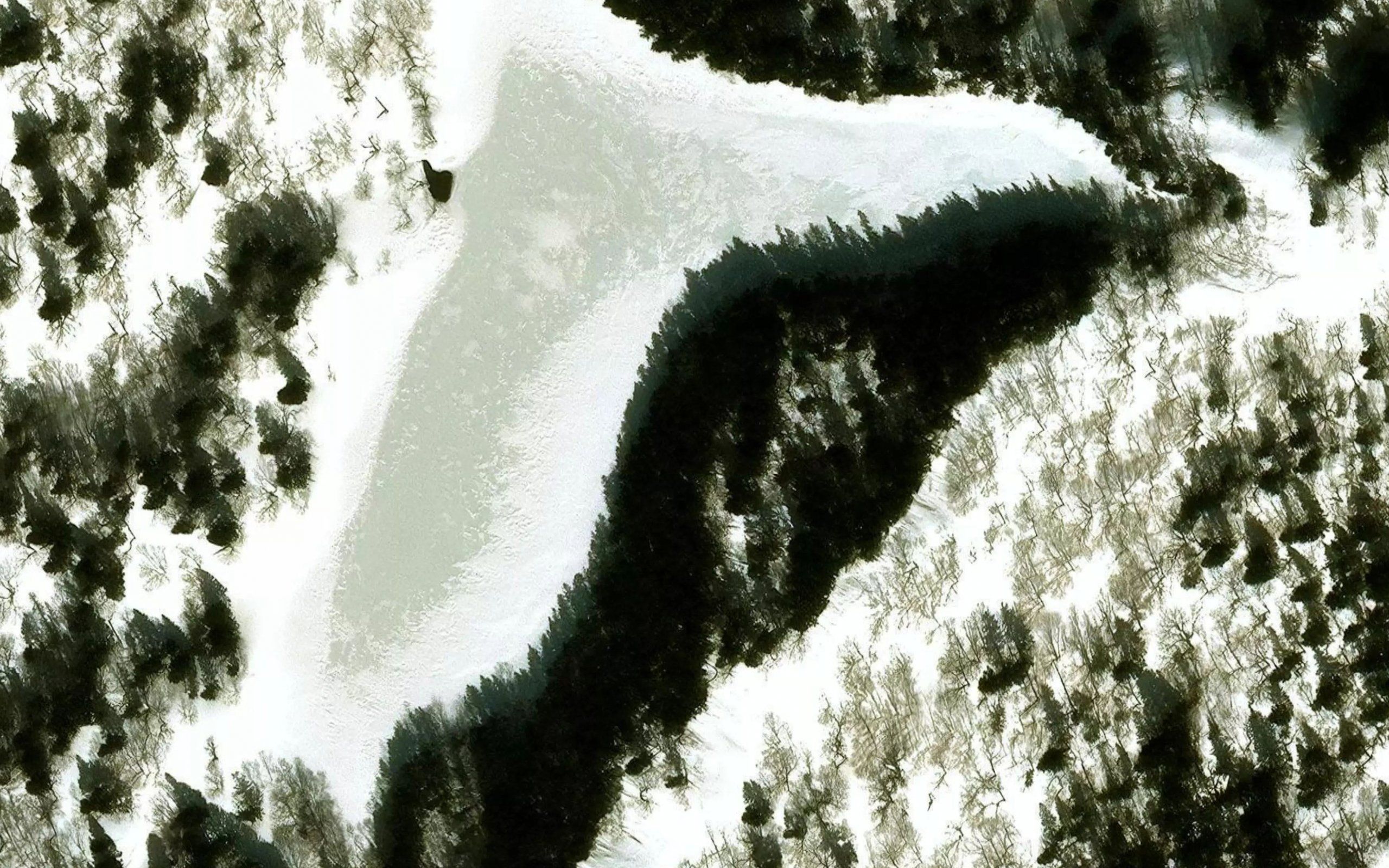 Aidomari Numa