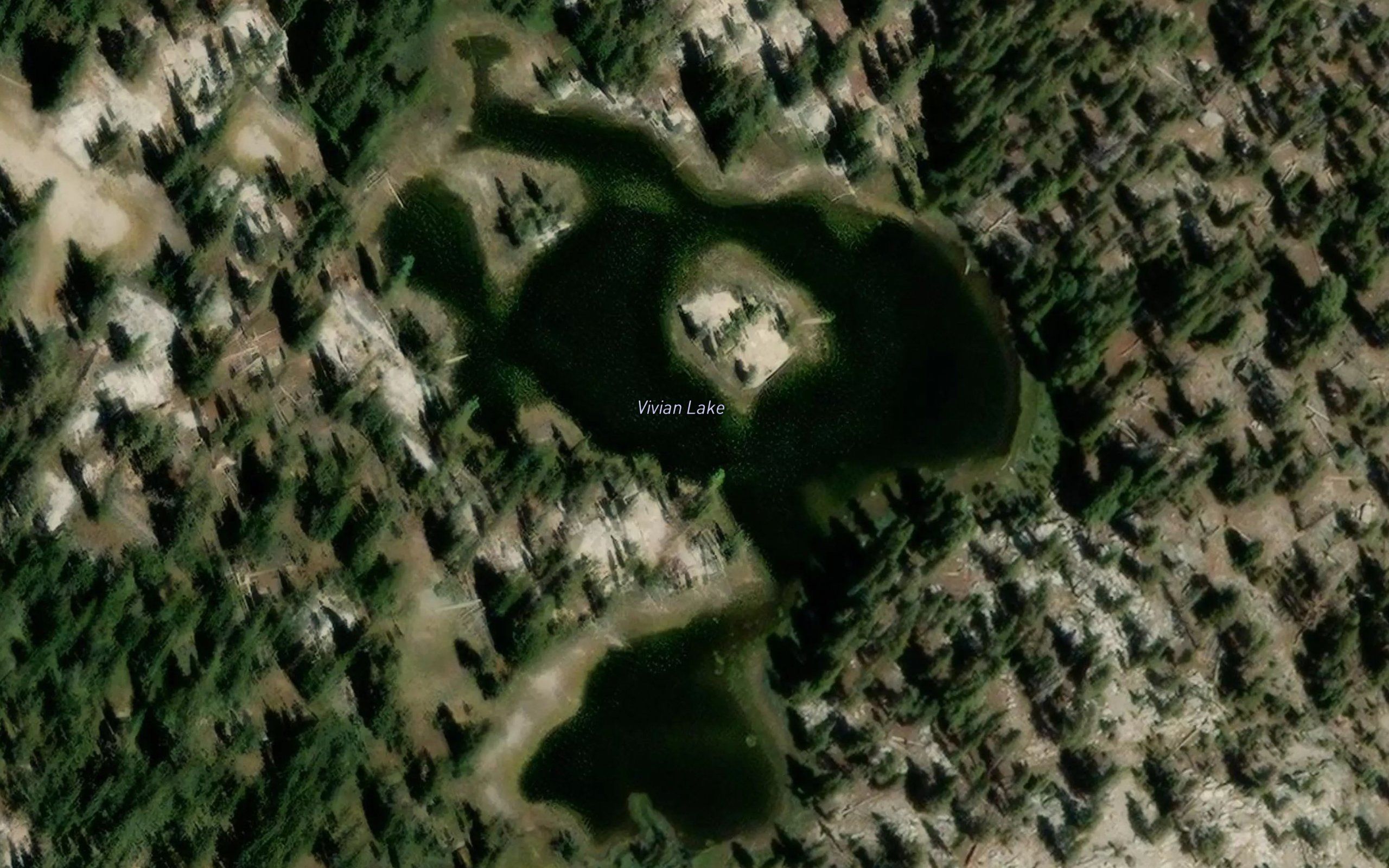 Vivian lake