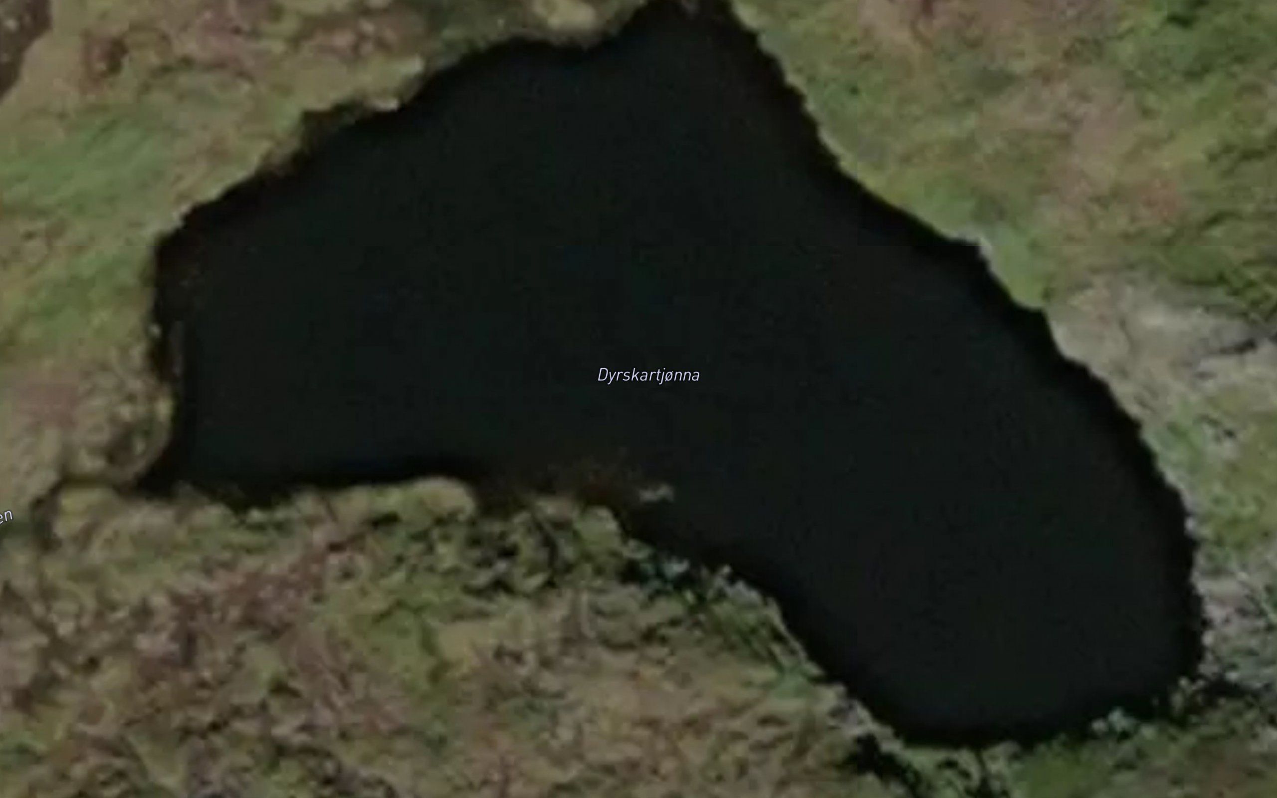 Dyrskartjonna