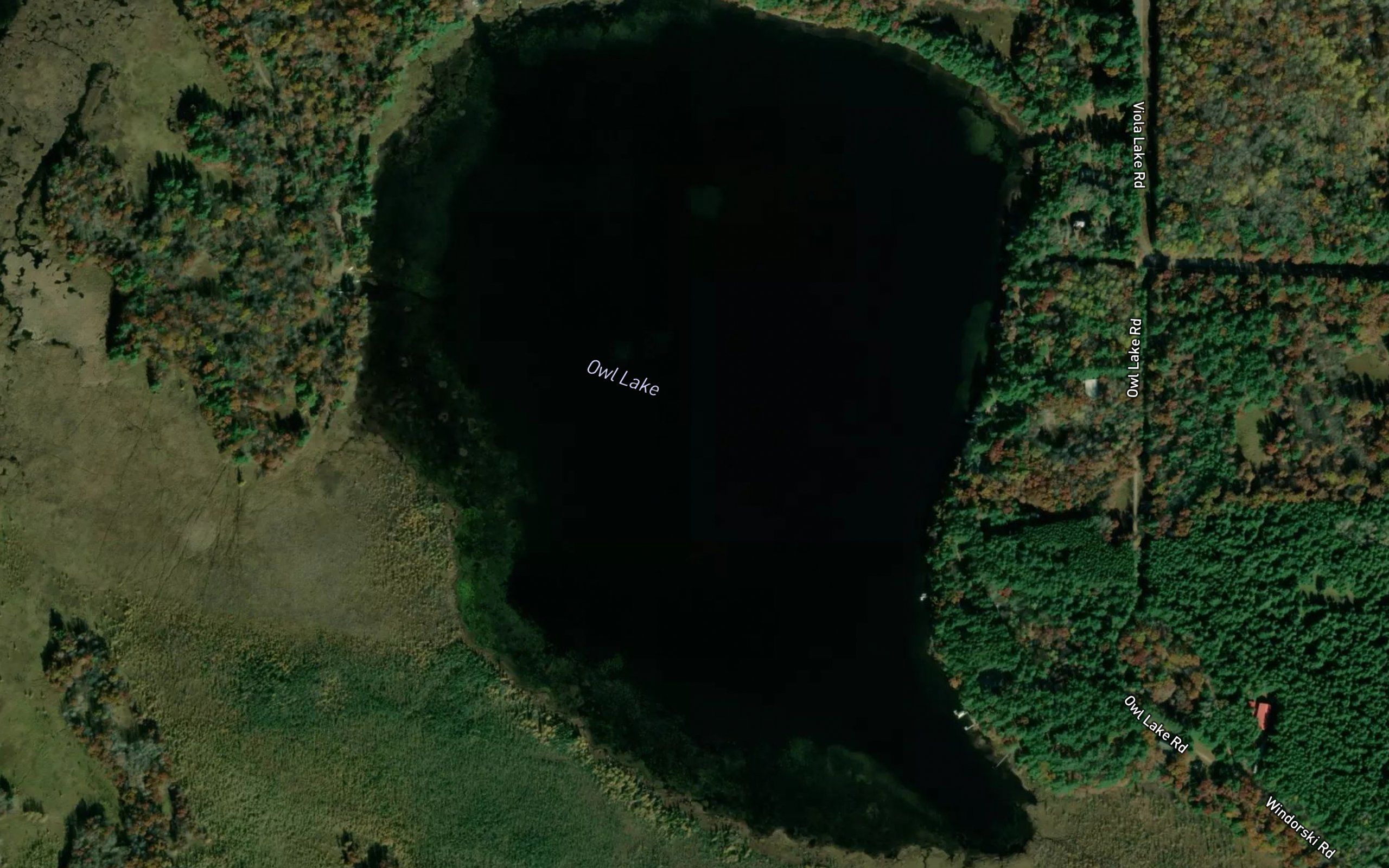 Owl Lake