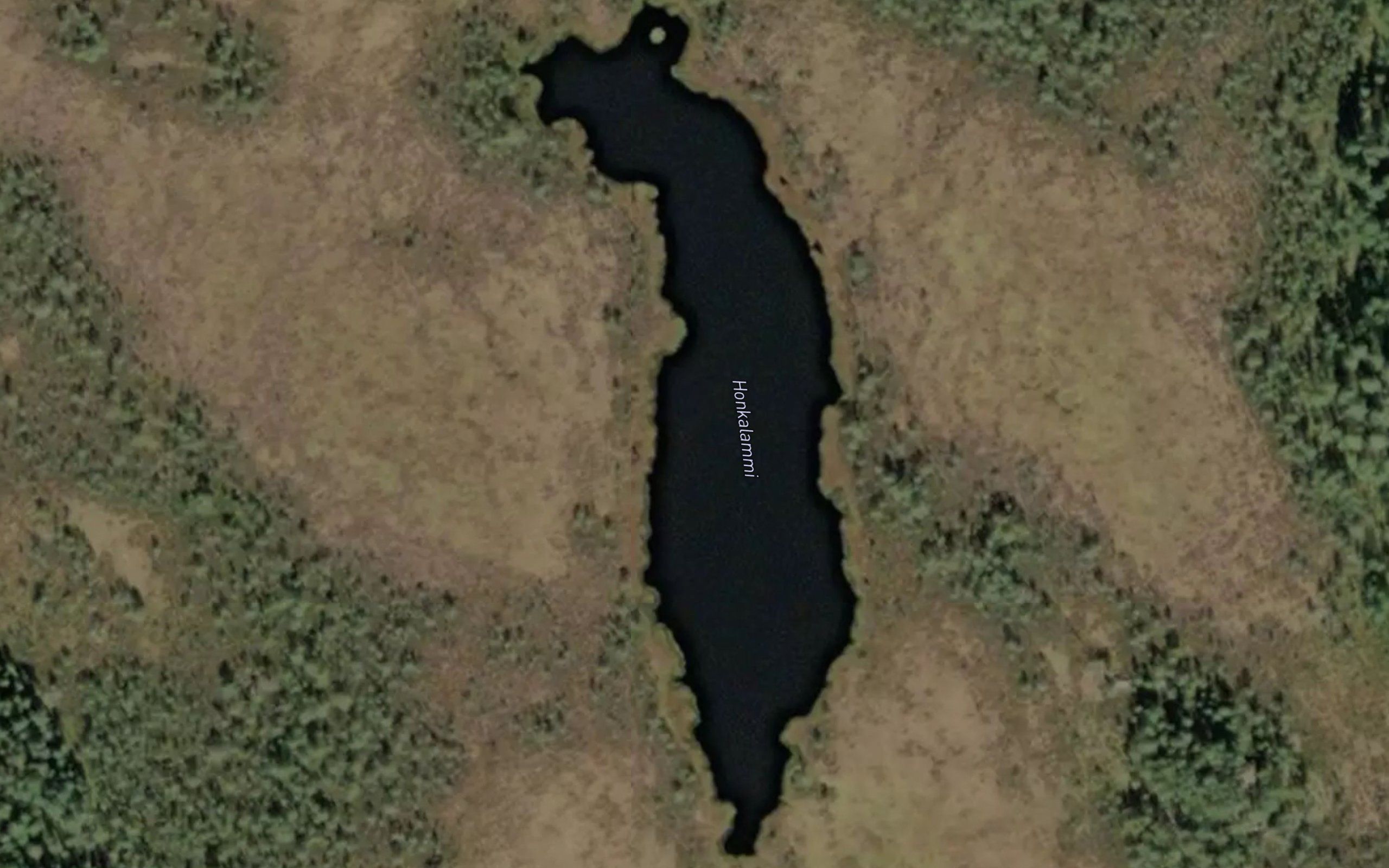 Honkalammi