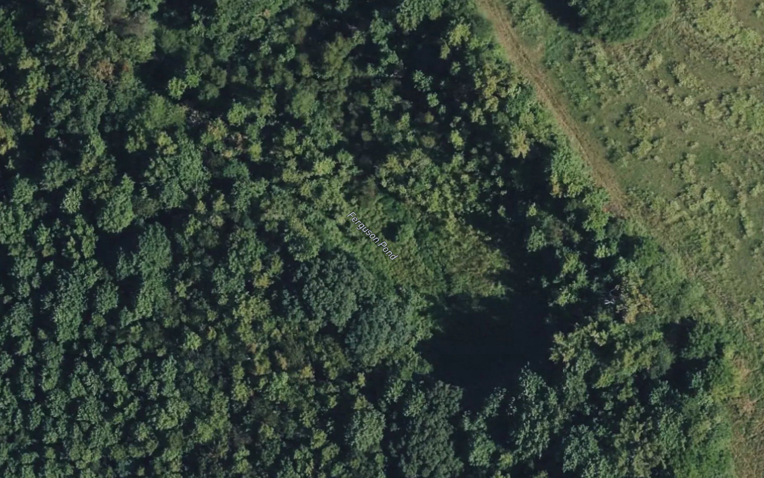 Ferguson Pond
