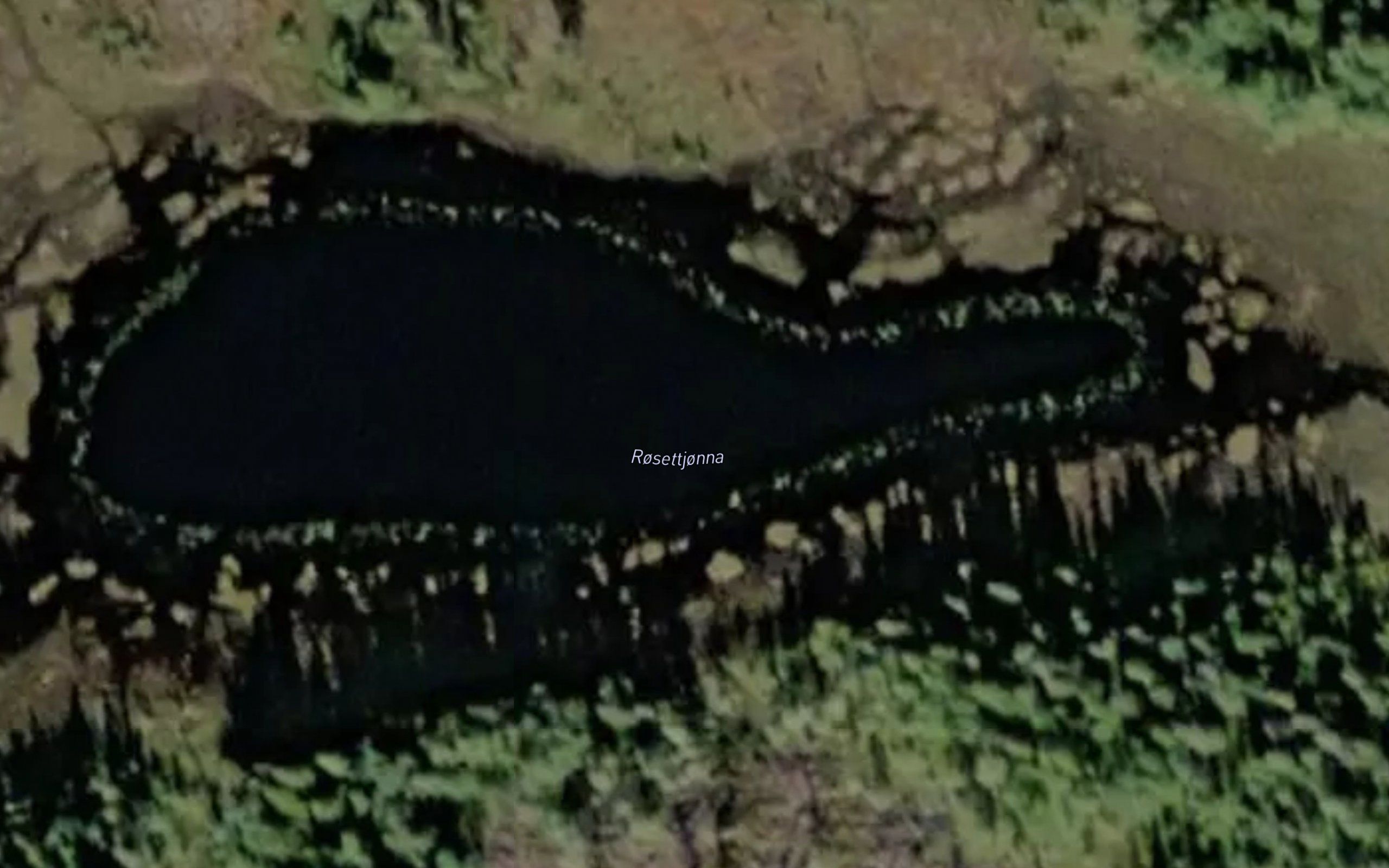 Rodsettjorna