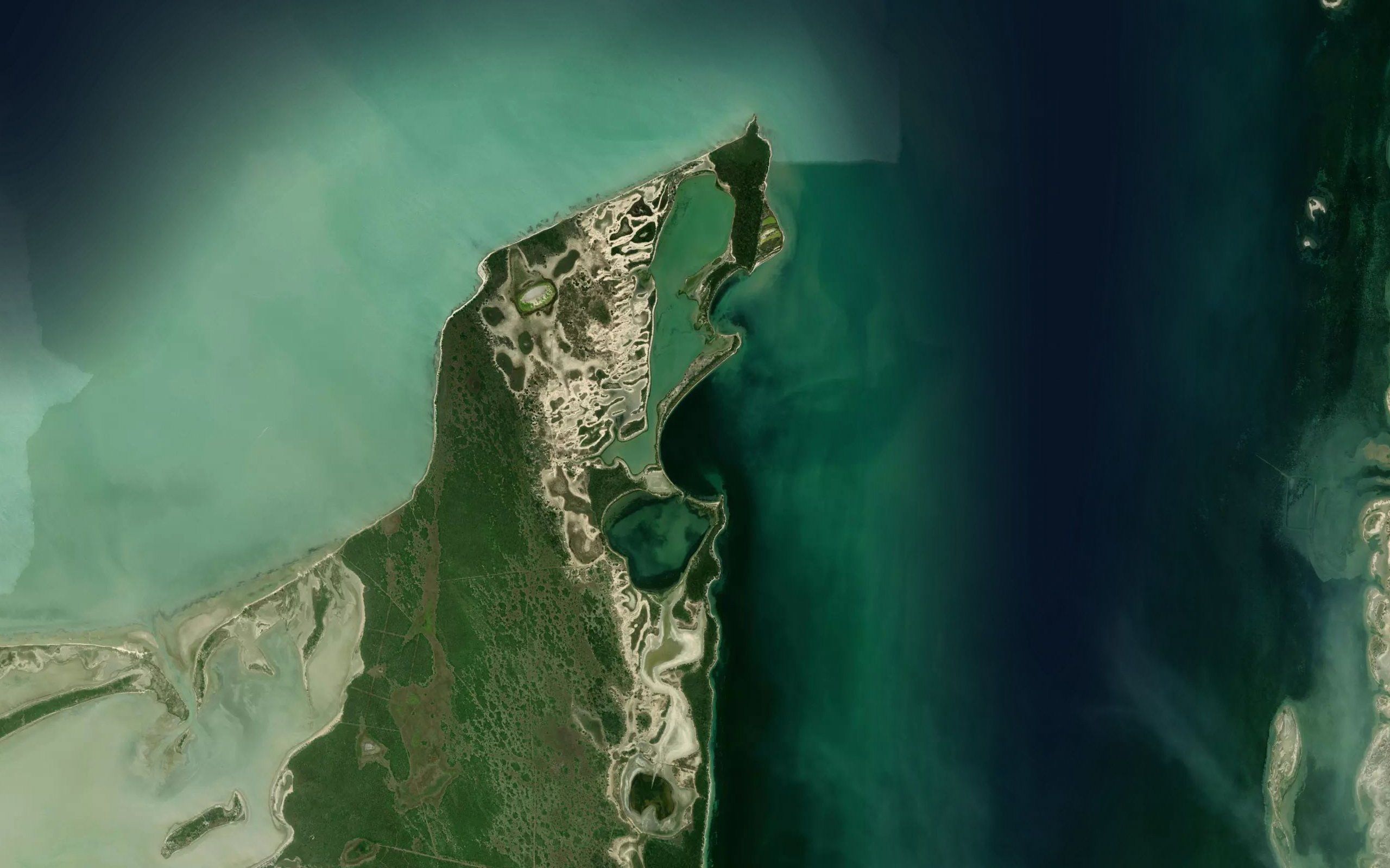 Bahia Algodones