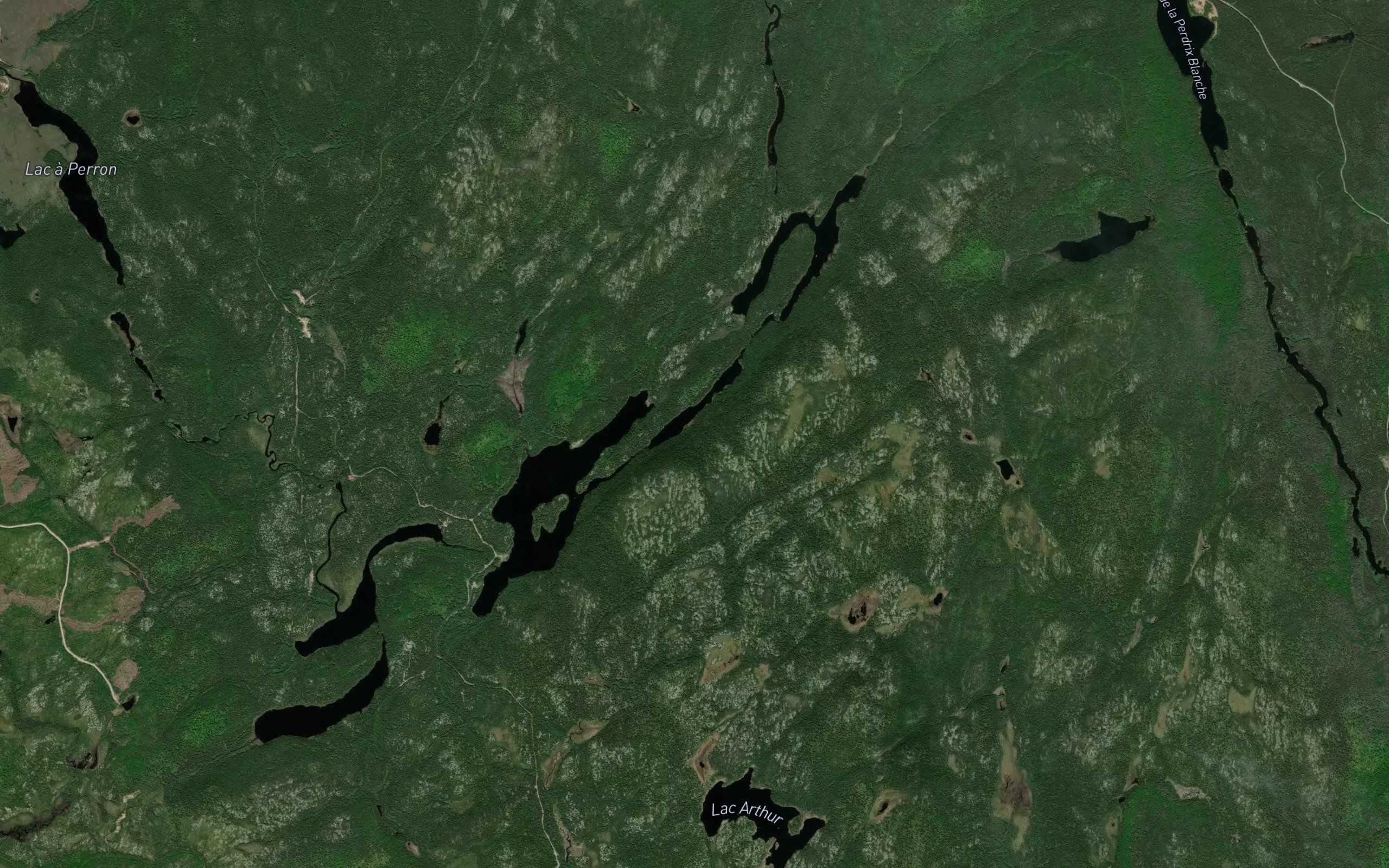 Lac Cache