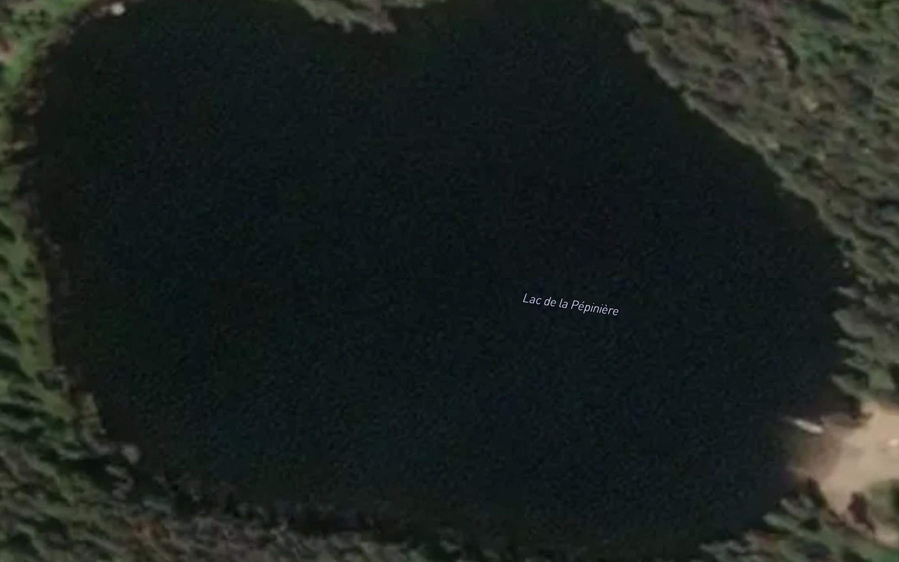 Satellite map of the Lac de la Pepiniere