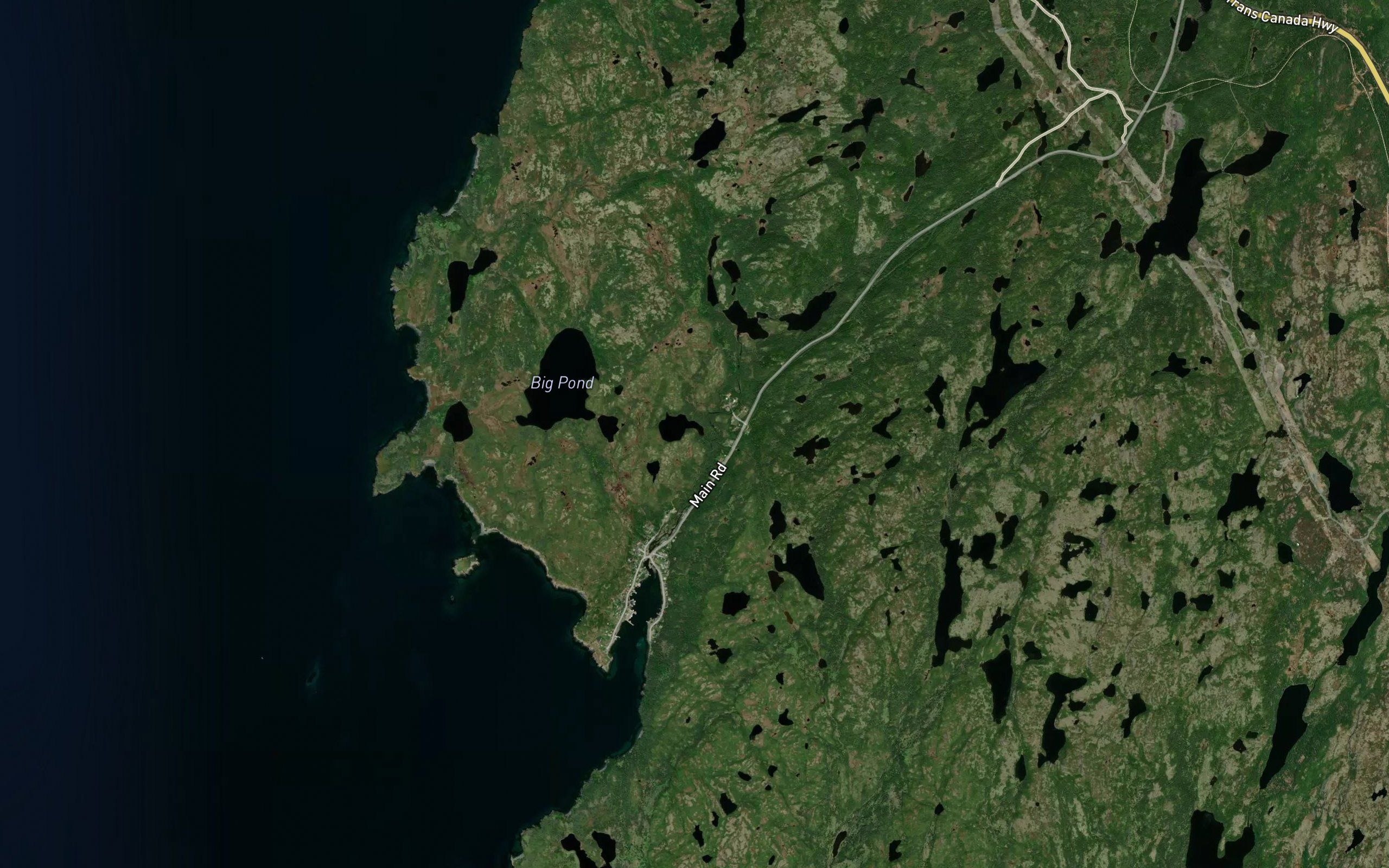 Reids Pond